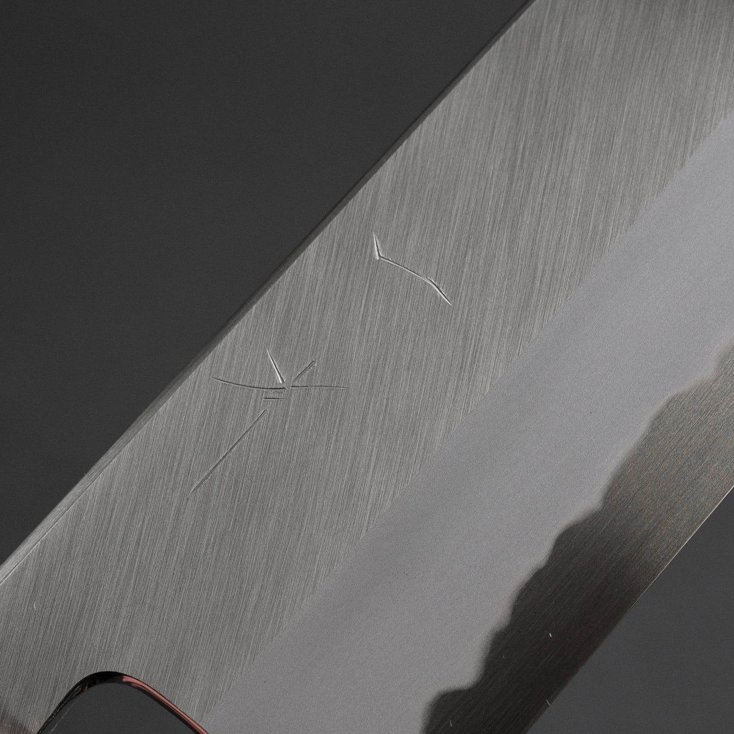 Hitohira Tanaka Kyuzo Blue #1 Migaki Kiritsuke Gyuto 240mm Ziricote Handle (Extra Height)