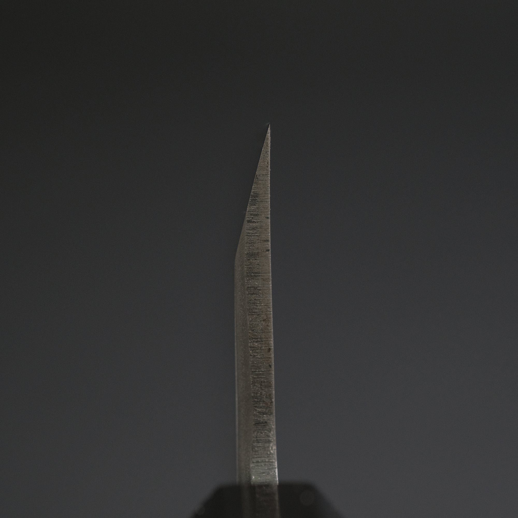Hitohira Togashi Blue 