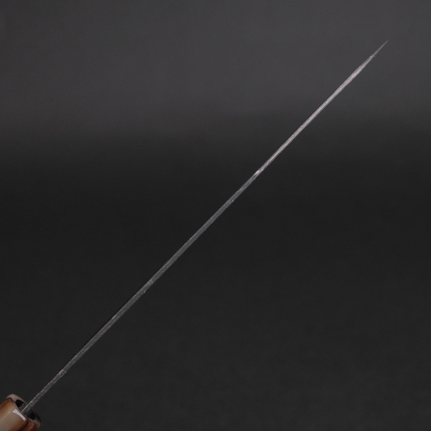 Hitohira Togashi Blue #2 Kurouchi Gyuto 210mm Ebony Handle