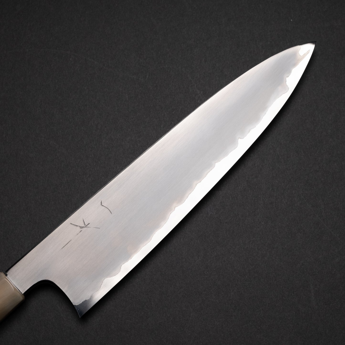 Hitohira Togashi White #1 Stainless Clad Kasumi Gyuto 240mm Ebony Handle