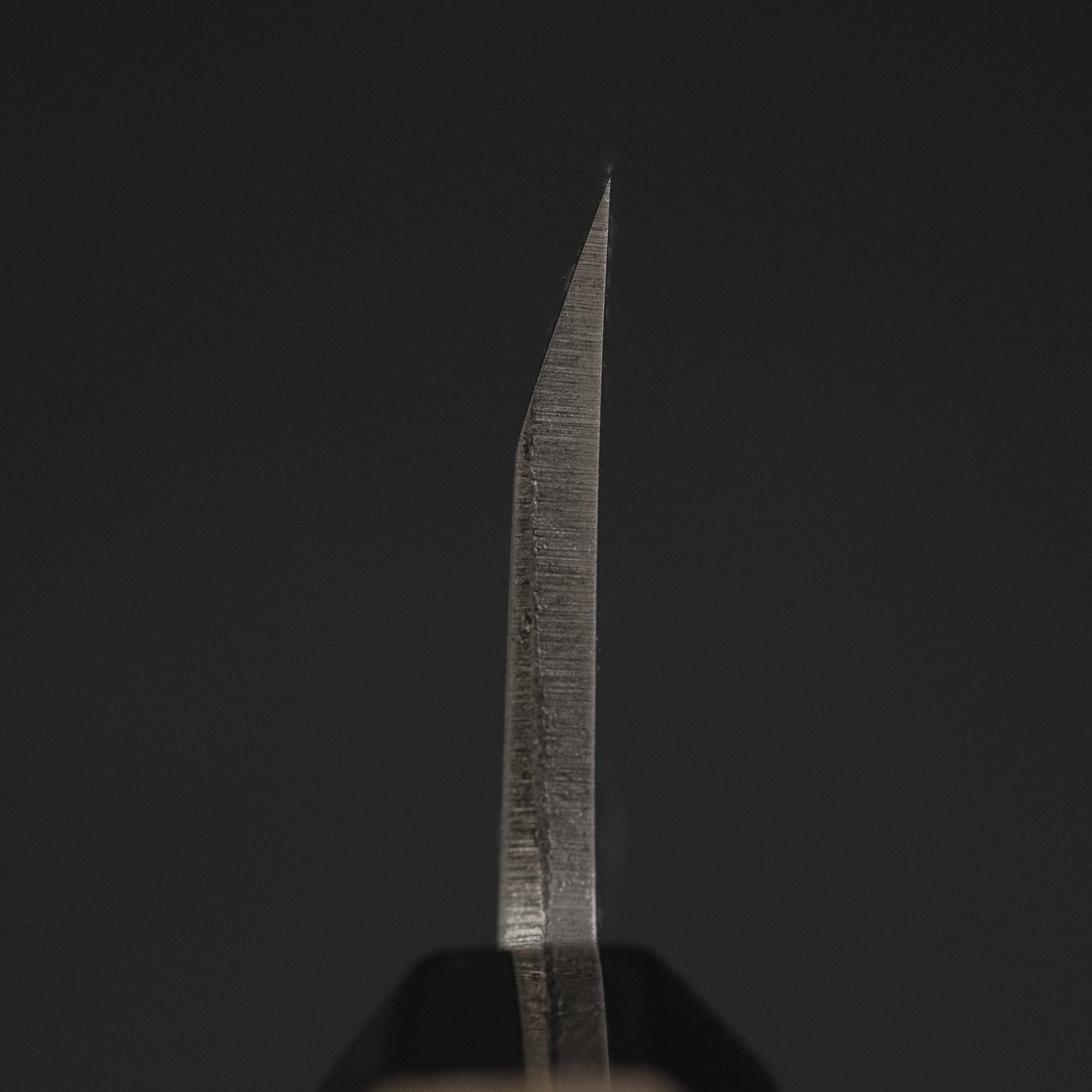 Hitohira Togashi White 