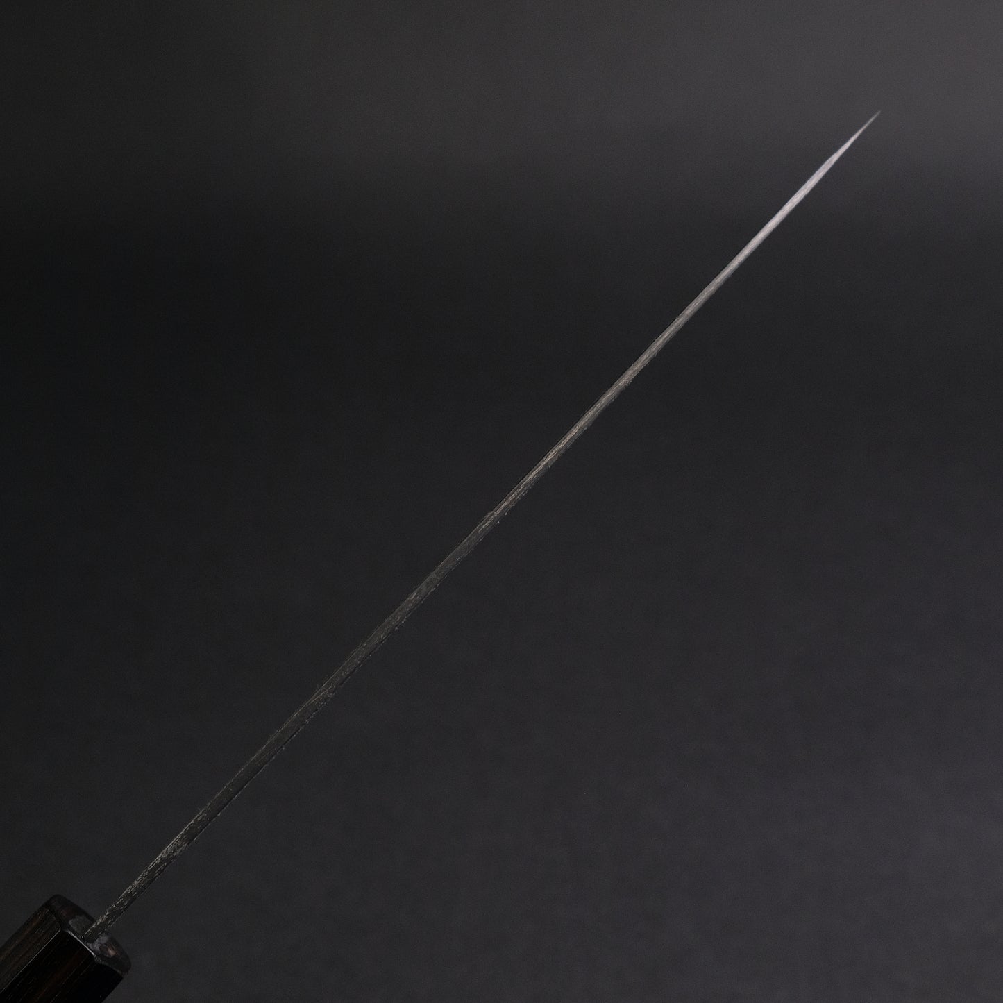 Hitohira Togashi White #2 Kurouchi Gyuto 210mm Tagayasan Handle