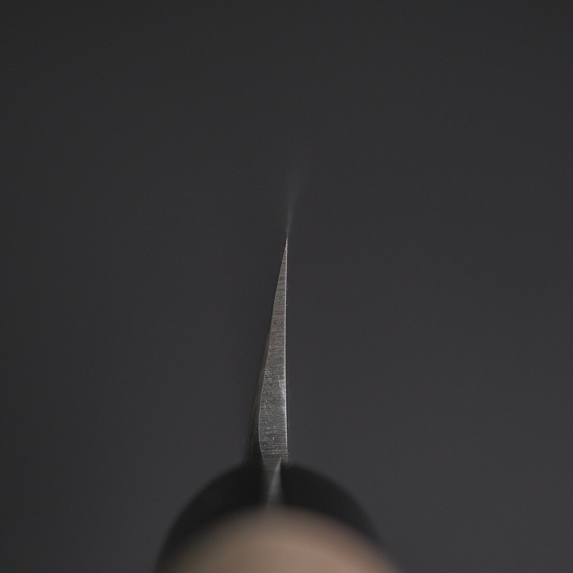 Hitohira Togashi White 