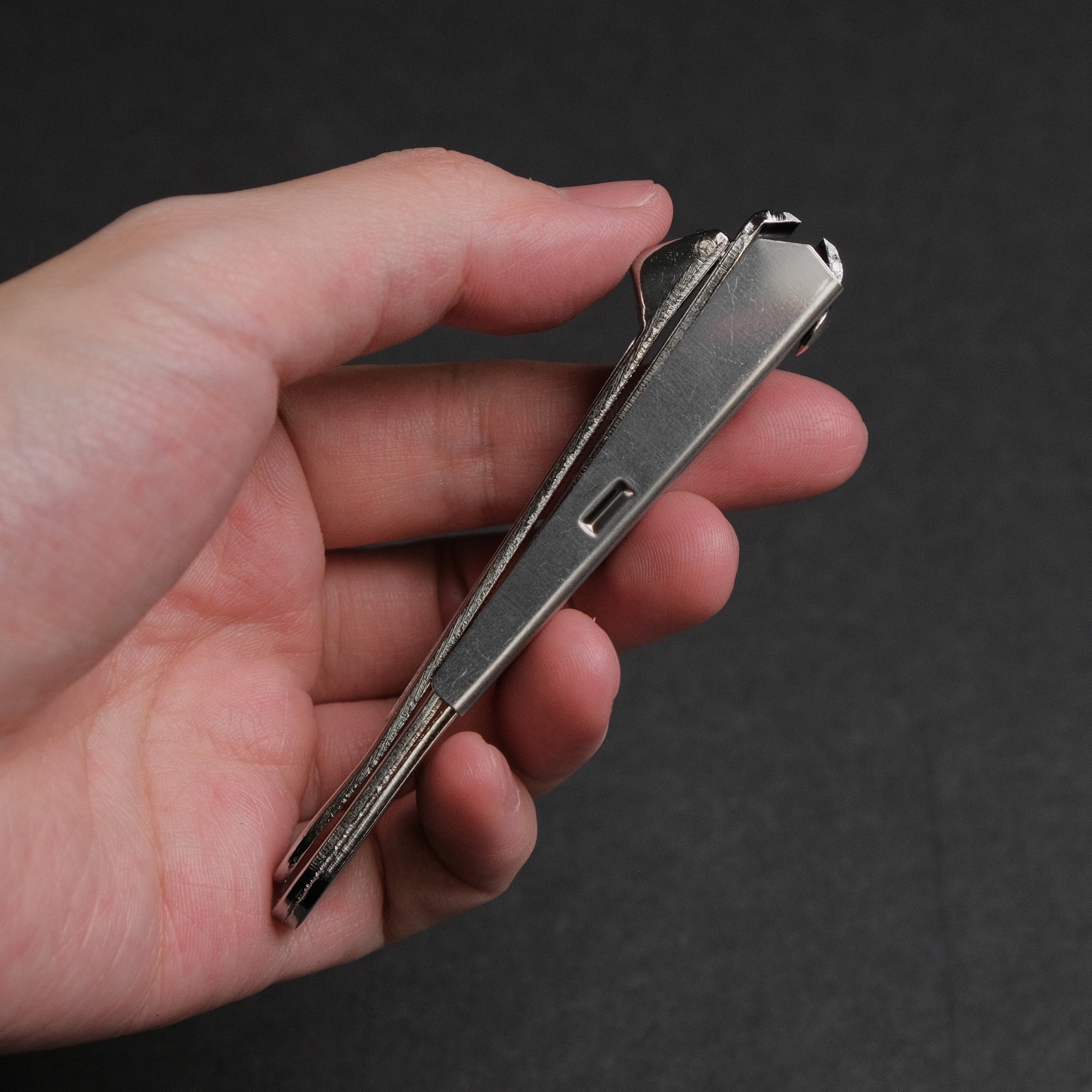 ITEZA Toenail Clipper