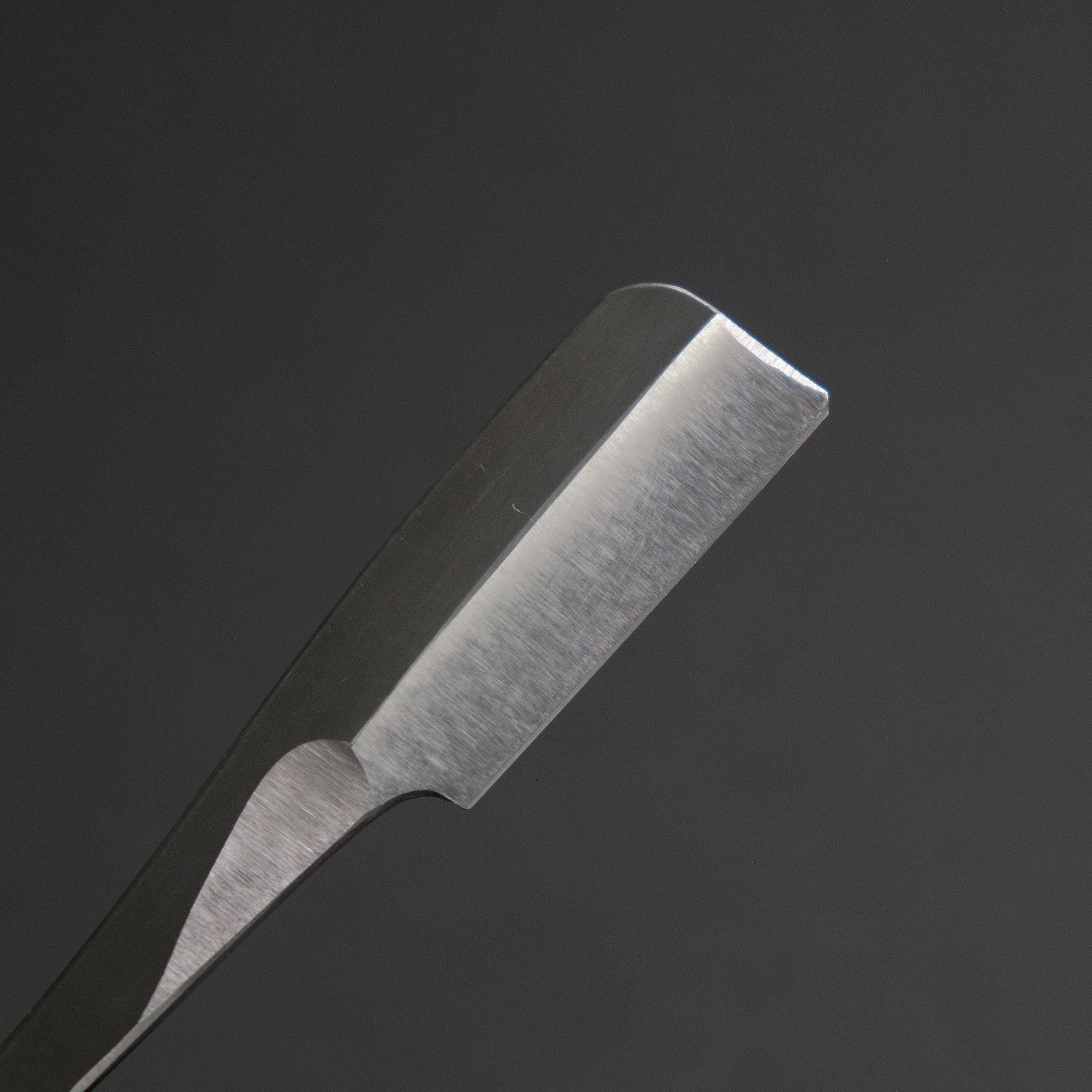 Iwasaki Kamisori Razor Medium