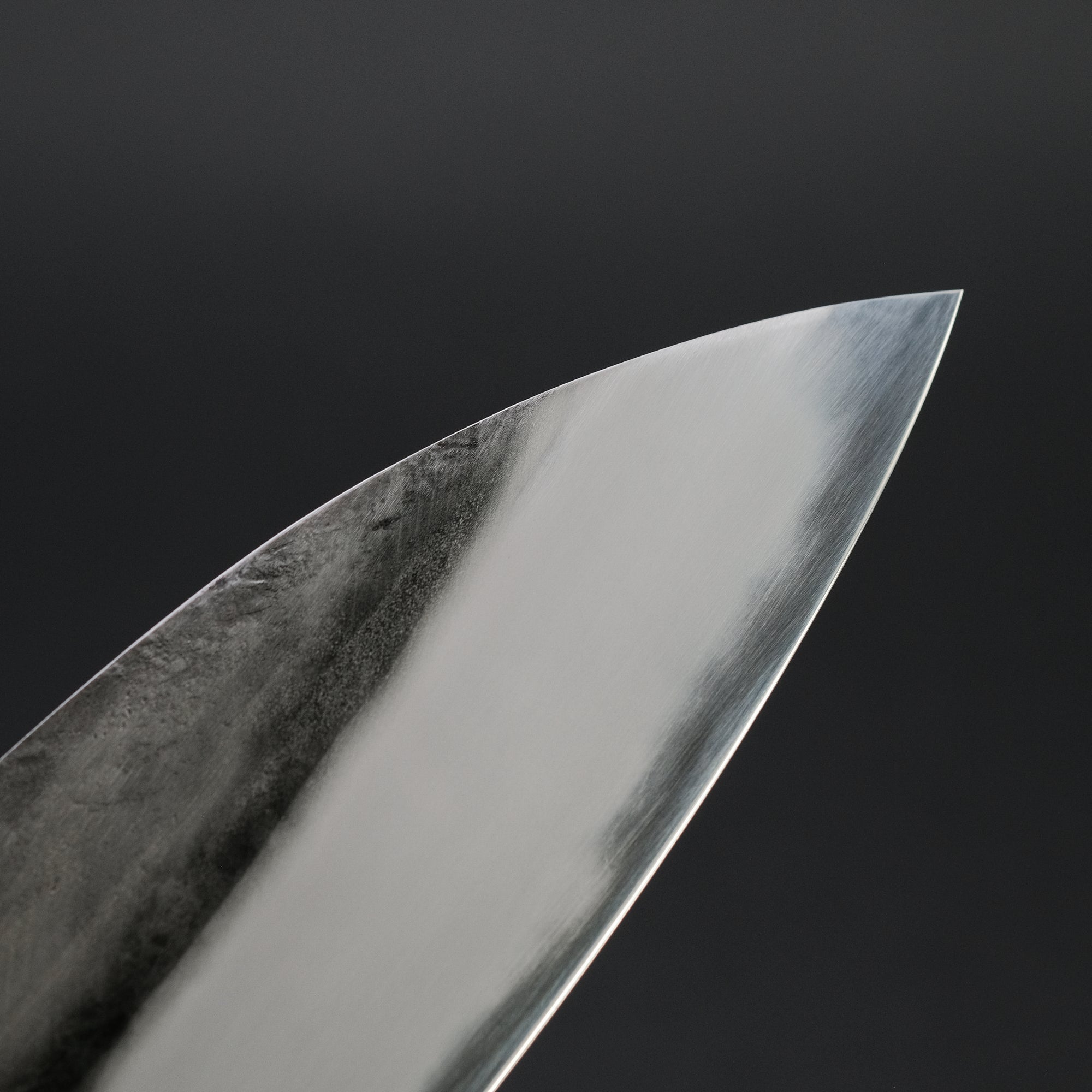Jiro Tsuchime Wa Gyuto 255mm Taihei Tagayasan Handle (