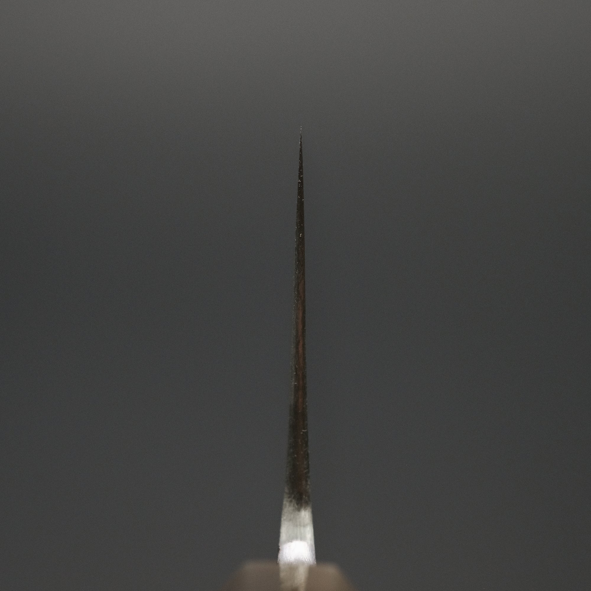 Jiro Tsuchime Wa Gyuto 255mm Taihei Tagayasan Handle (