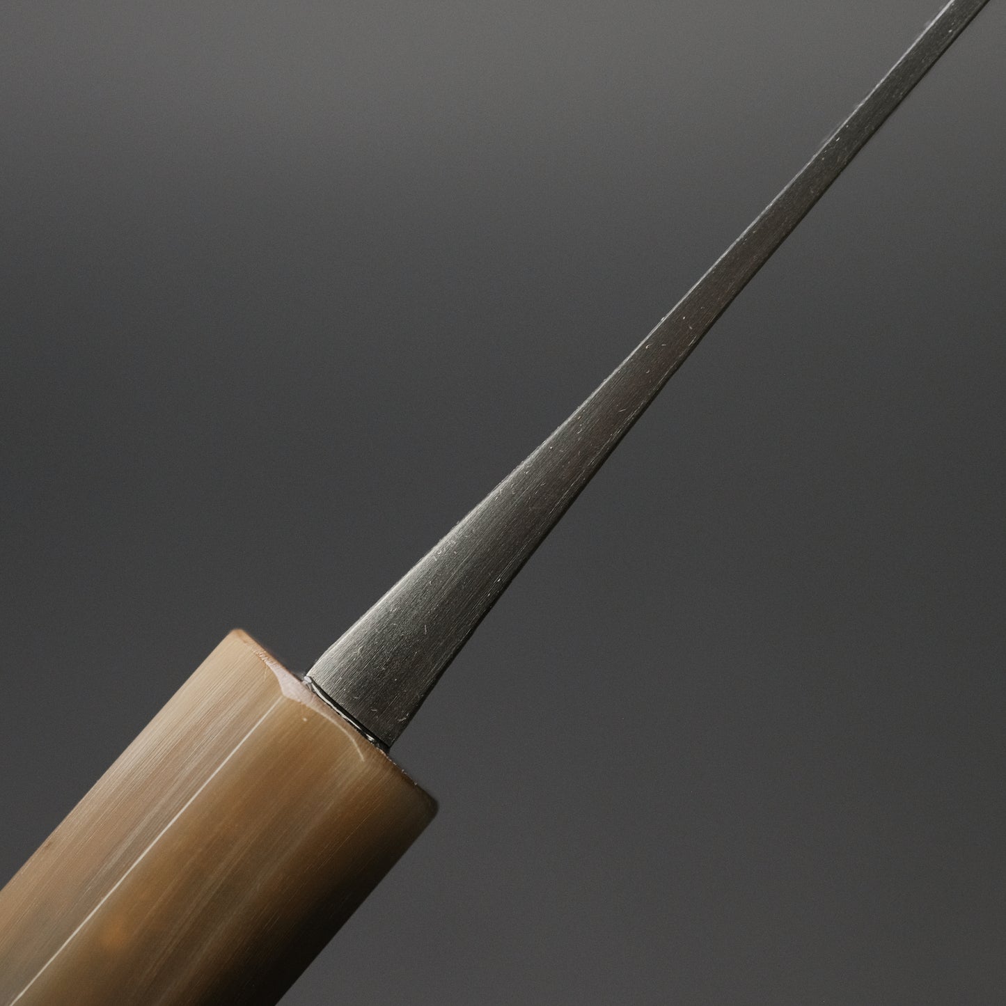 Jiro Tsuchime Wa Gyuto 255mm Taihei Tagayasan Handle (#505)