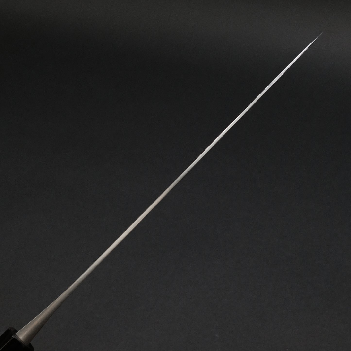 Jiro Tsuchime Wa Sujihiki 240mm Taihei Tagayasan Handle (#579)