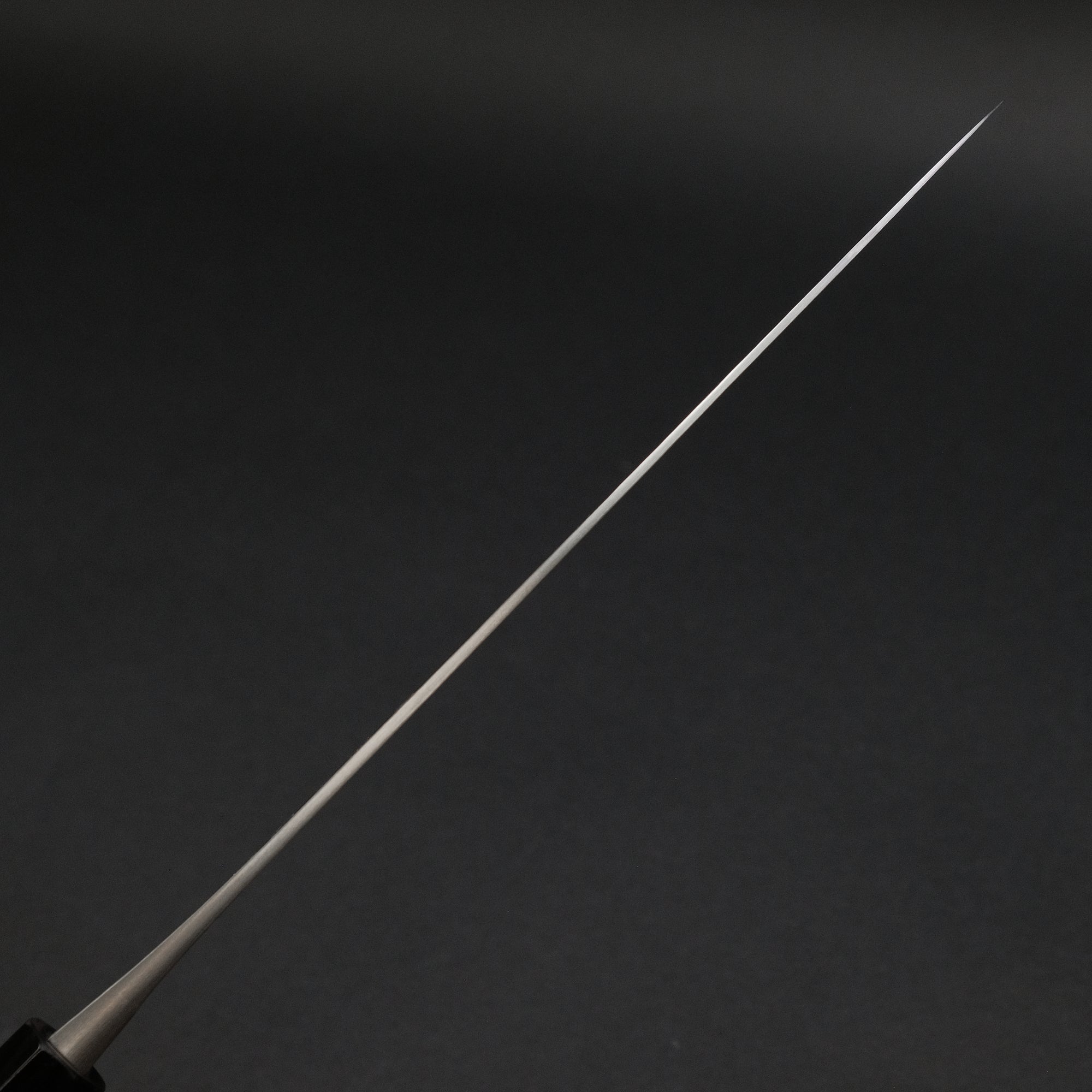 Jiro Tsuchime Wa Sujihiki 240mm Taihei Tagayasan Handle (