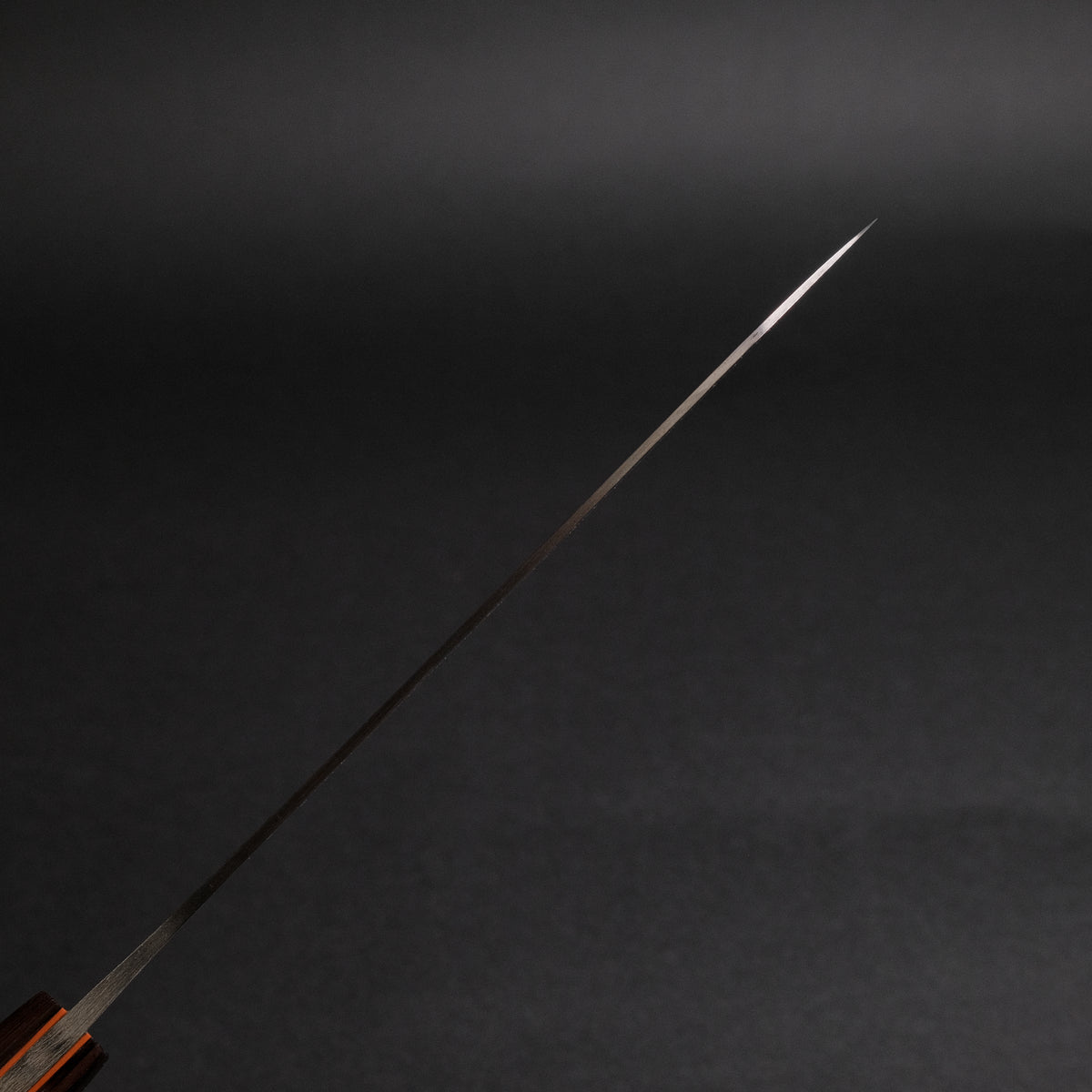 Jiro Tsuchime Yo Gyuto 210mm Tagayasan Handle (