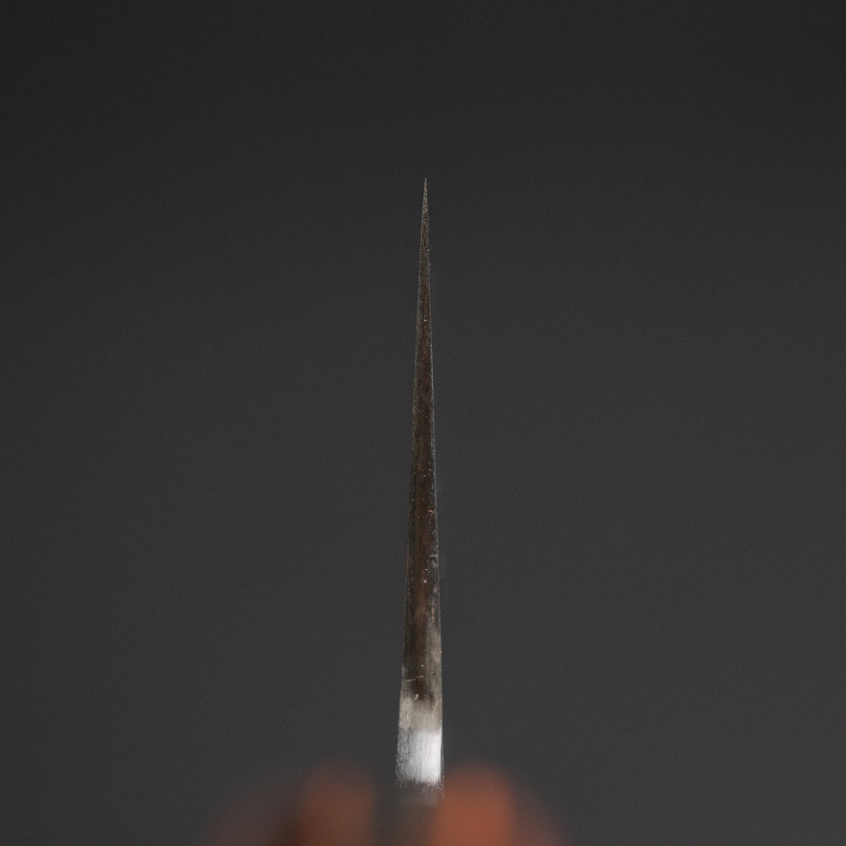 Jiro Tsuchime Yo Gyuto 210mm Tagayasan Handle (