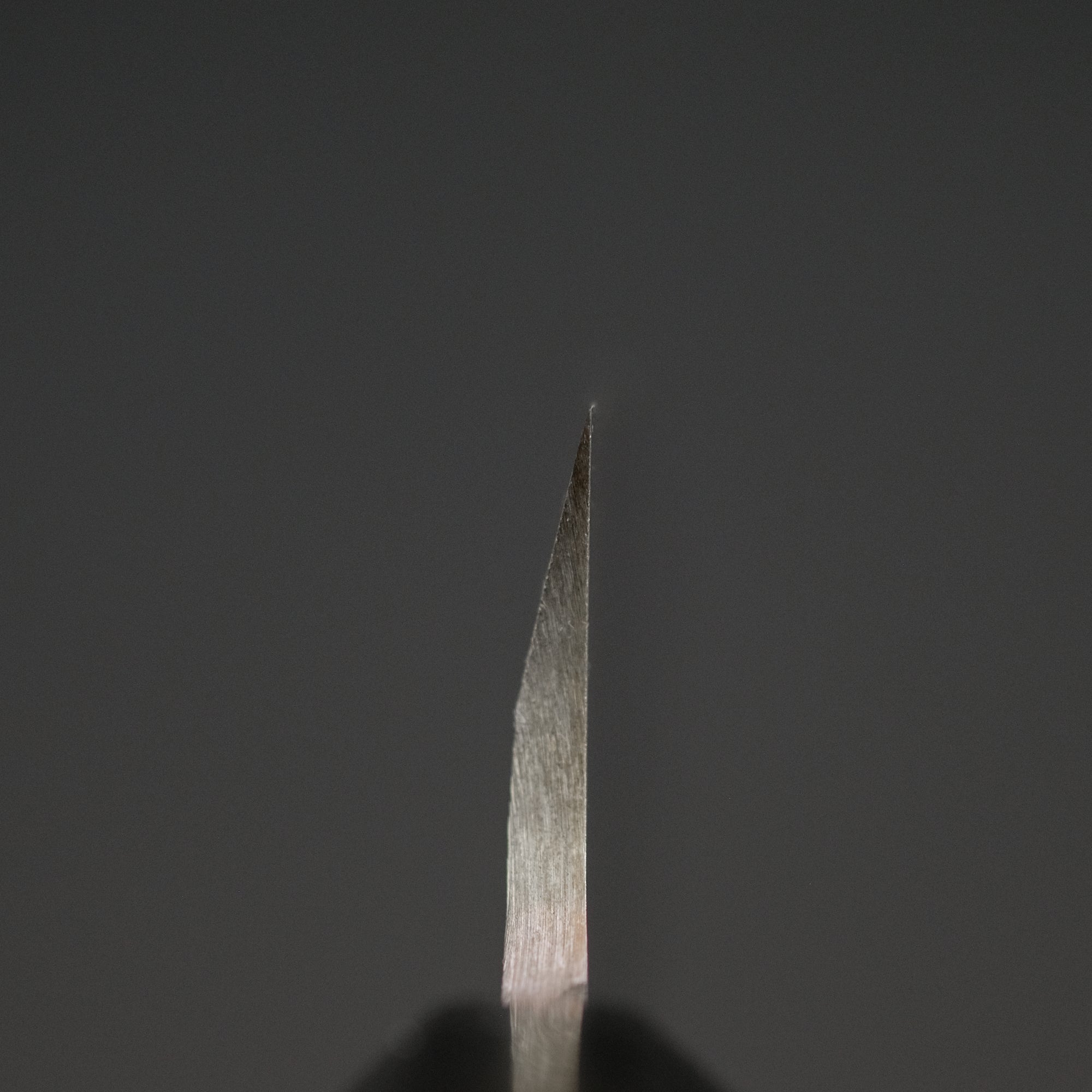 Kitaoka Blue 