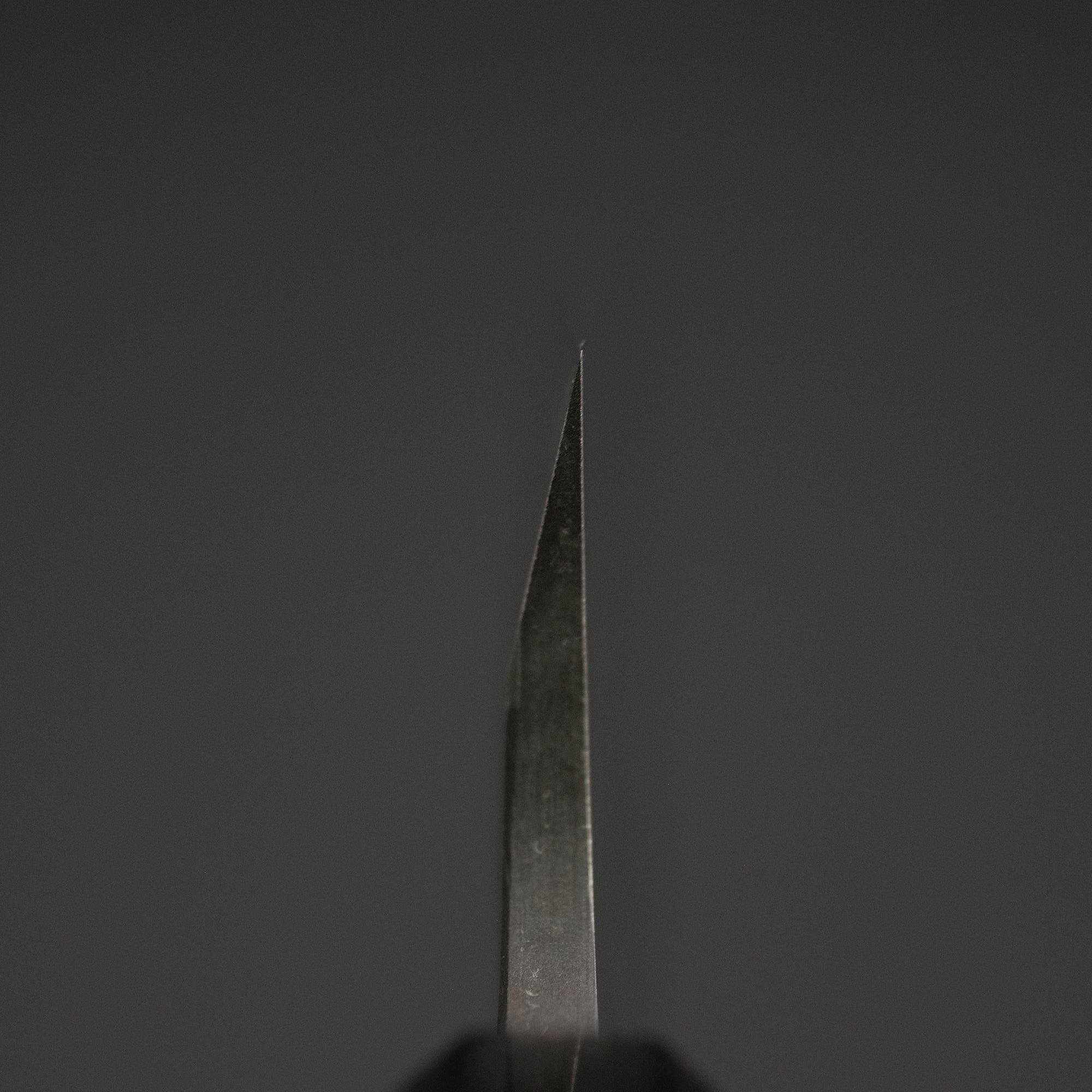 Kitaoka Blue 