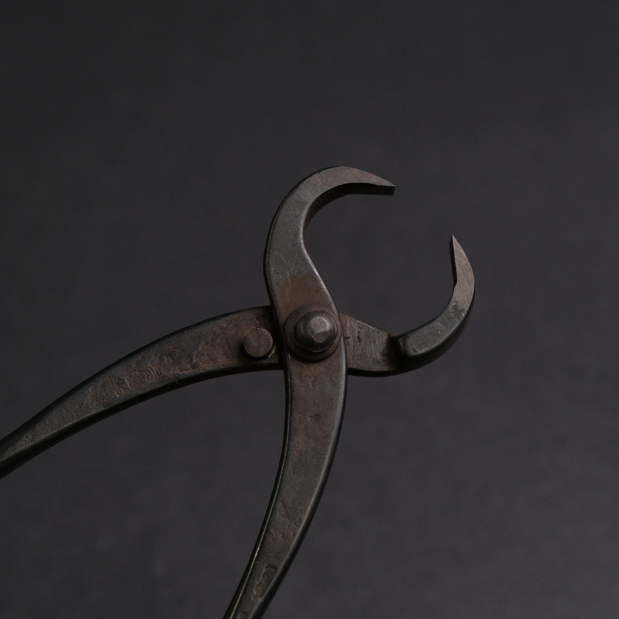 Masakuni Bonsai Tools