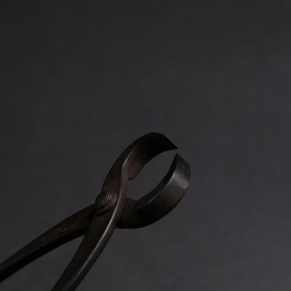 Masakuni Bonsai Tools