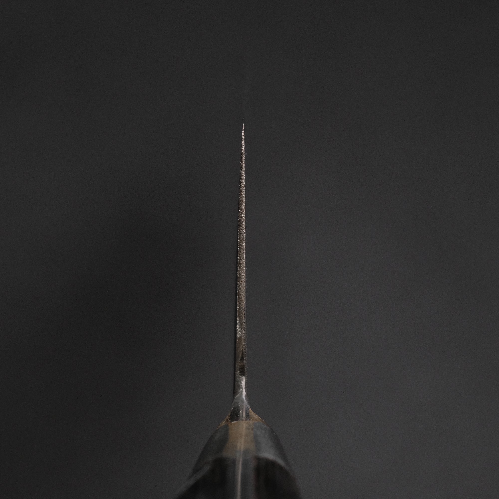 Kogetsu Carbon Gyuto 240mm Pakka Handle