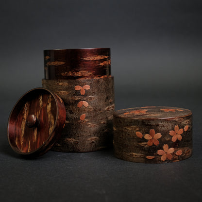 Komon Denshiro Tea Container with Sakura Pattern