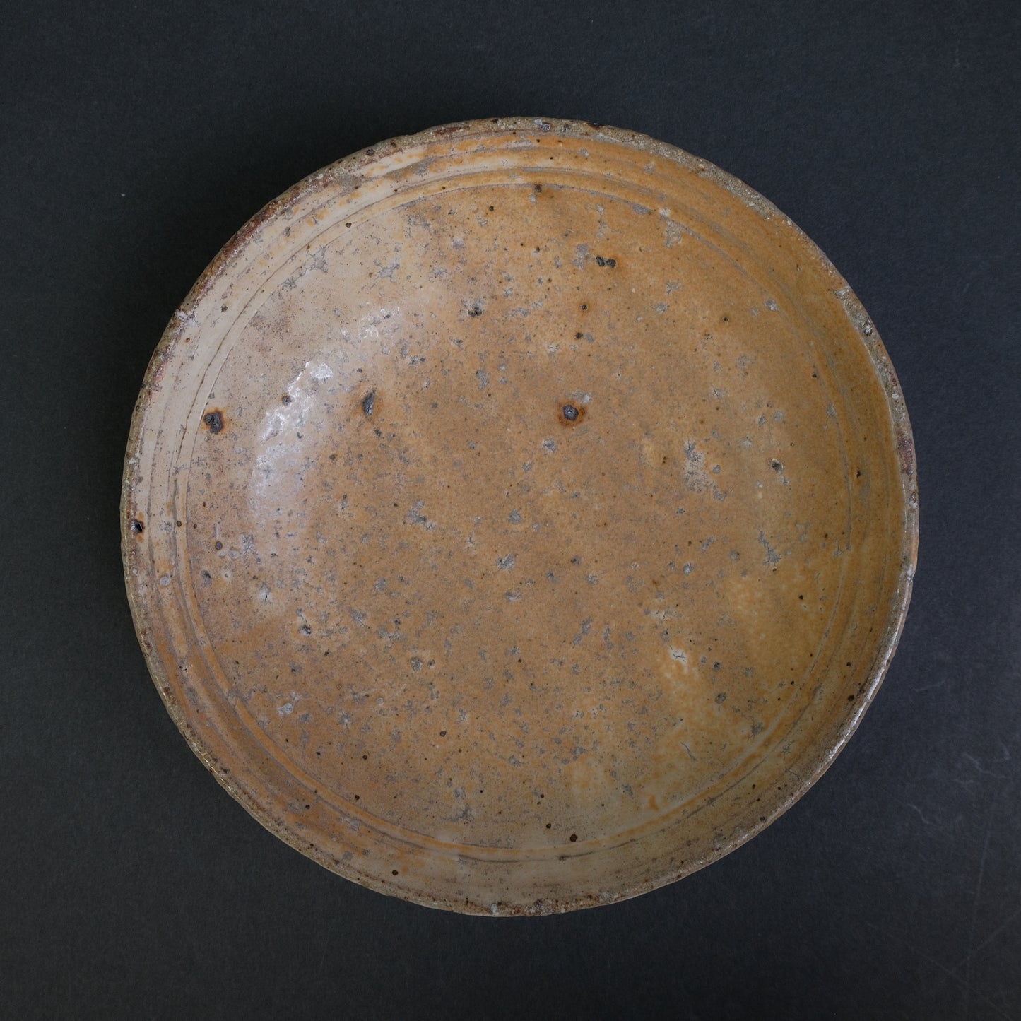 Komon Shinichi Kotsuji  Plate Kizeto