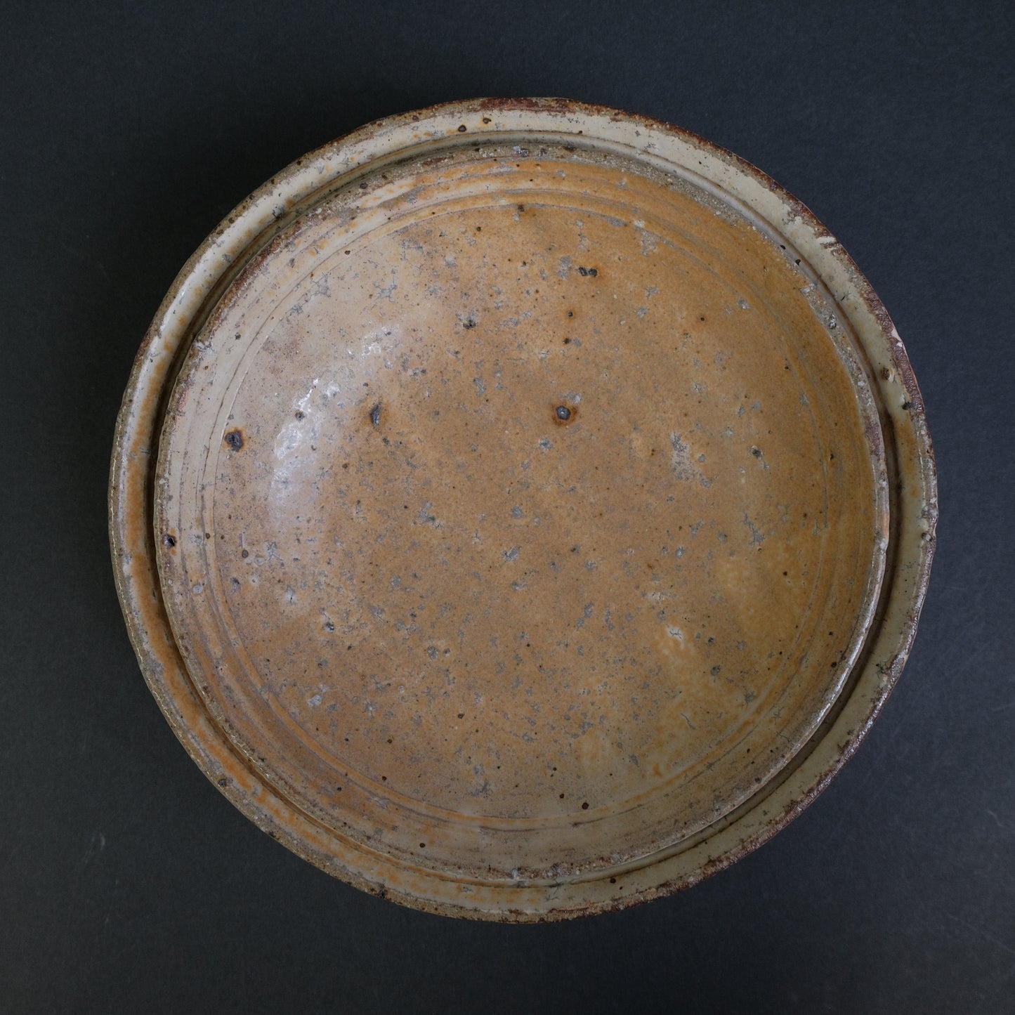 Komon Shinichi Kotsuji  Plate Kizeto