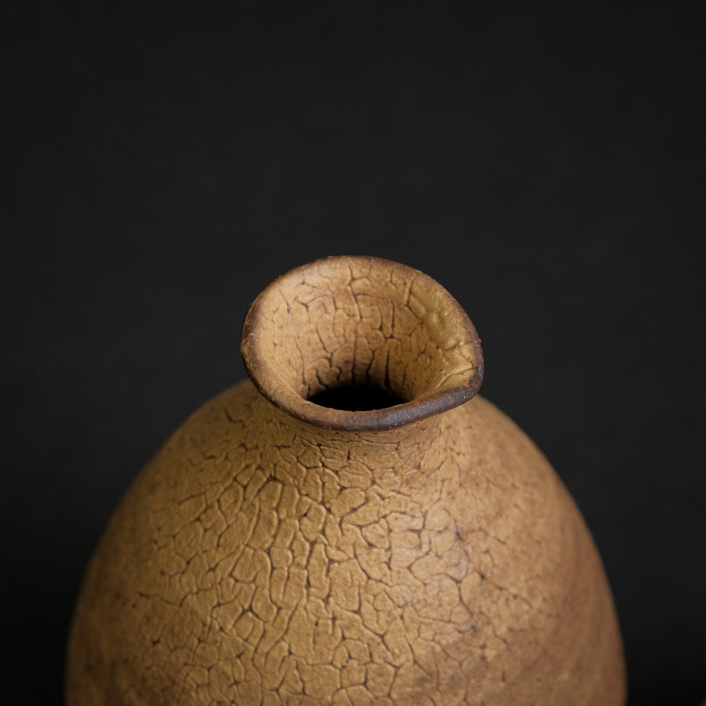 Shinohara Sake Set with Kiri Box (Kiseto)
