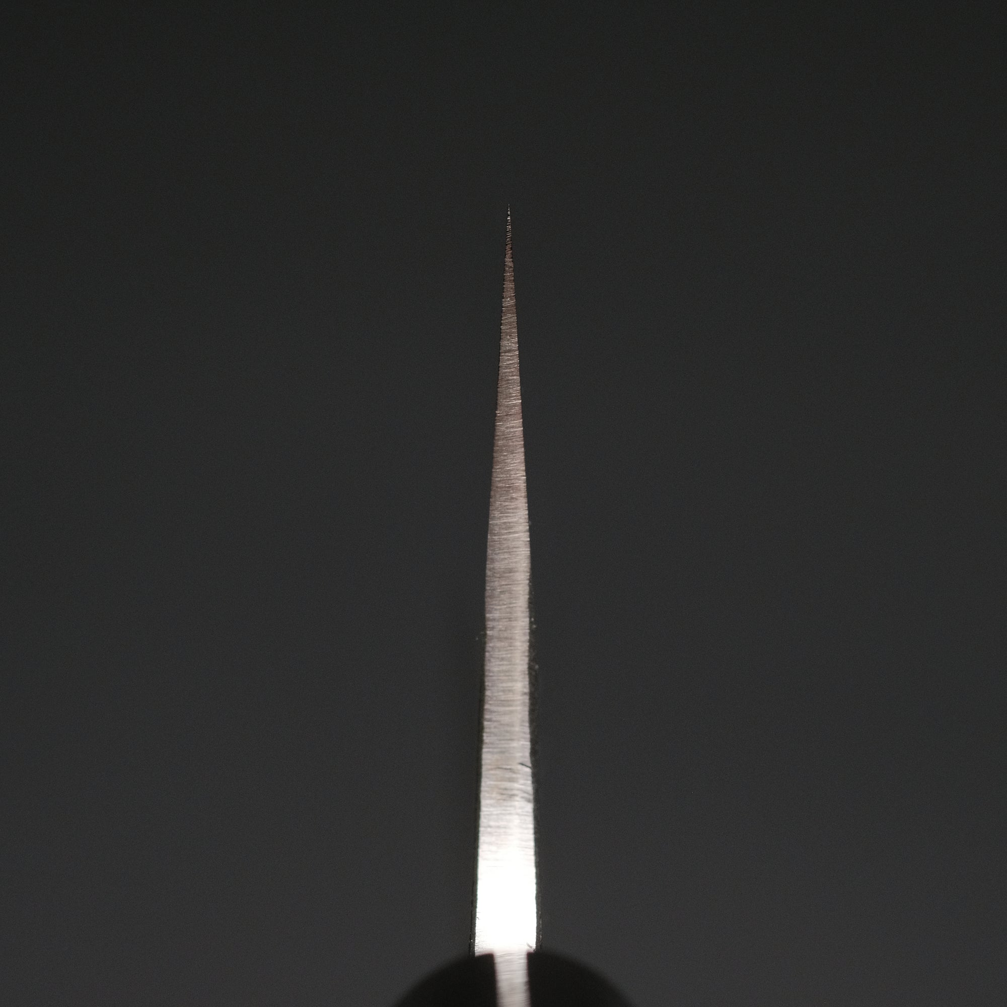 Konosuke Madei Sumiiro SLD Gyuto 240mm Burnt Chestnut Handle