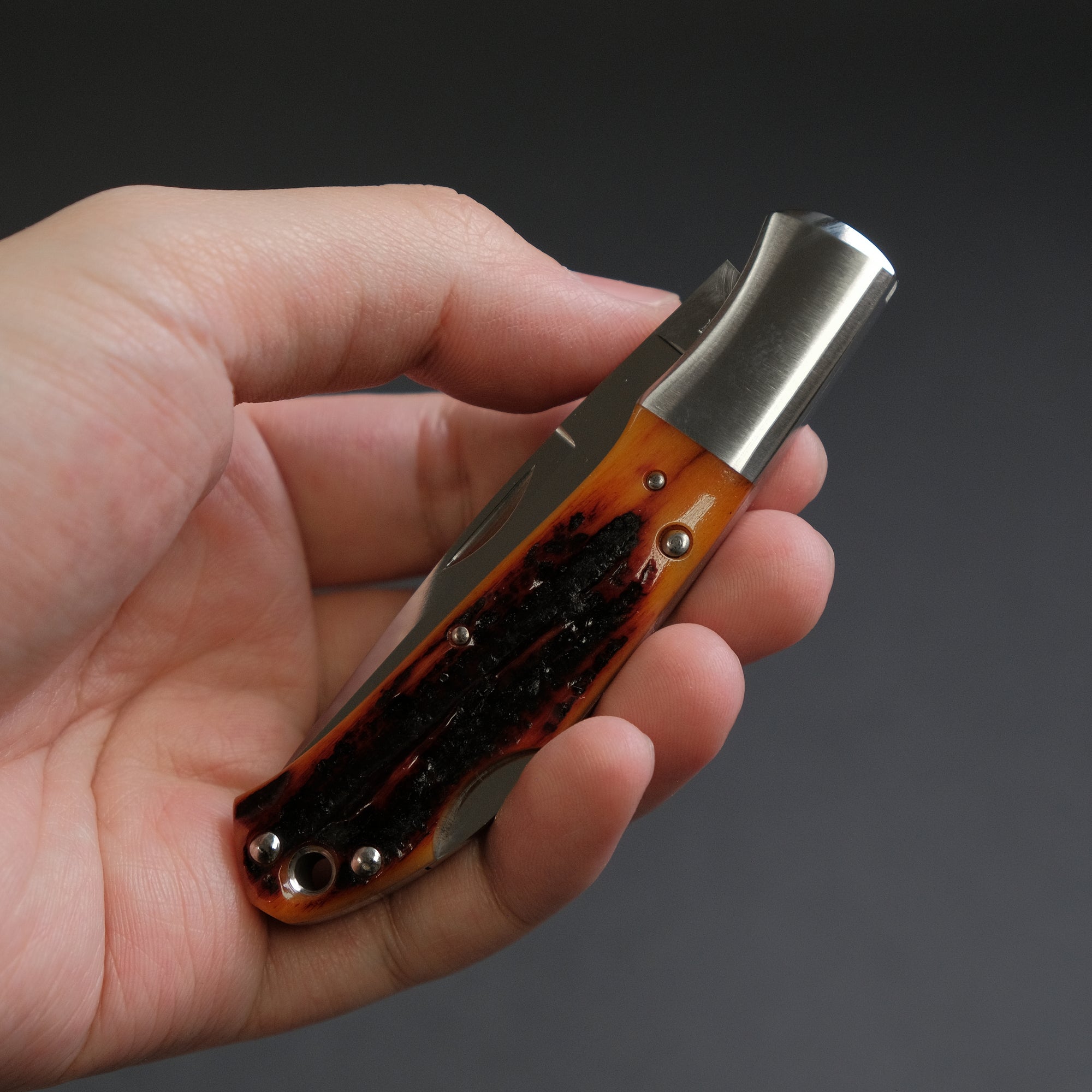 MOKI Kronos Folding Knife Stag Bone Handle (Medium)