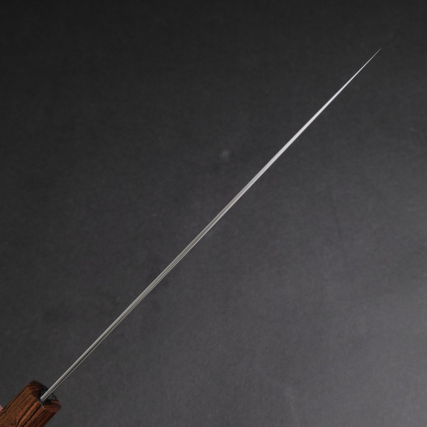MSicard AEB-L Gyuto 225mm Roasted Birdseye Maple Handle