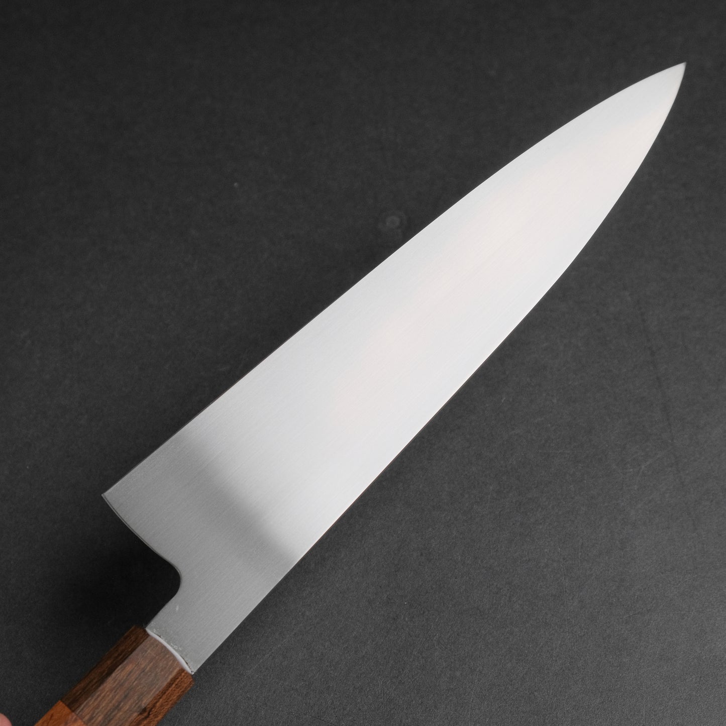 MSicard AEB-L Gyuto 225mm Roasted Birdseye Maple Handle