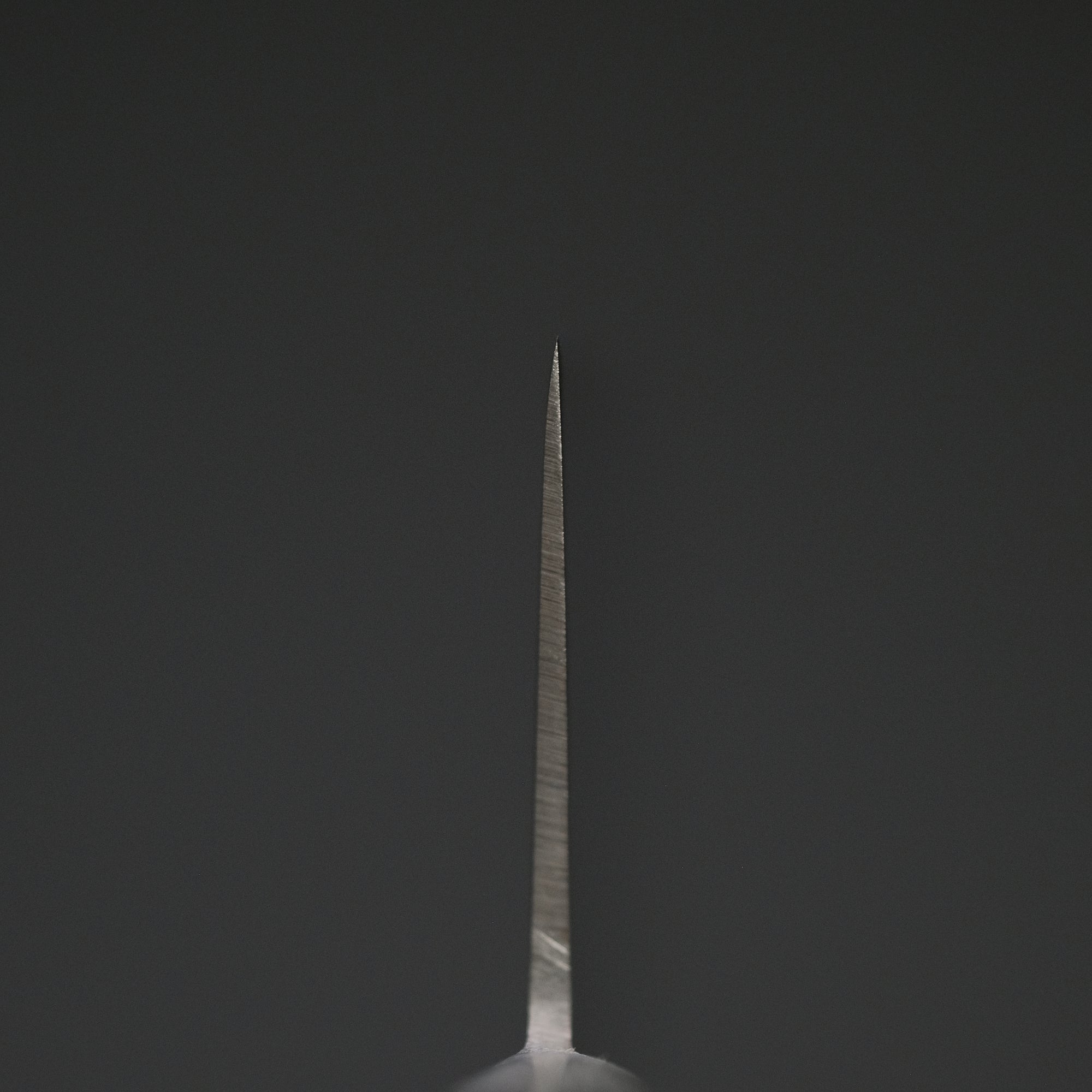 Morihei Hisamoto Hagane Gyuto 180mm Pakka Handle