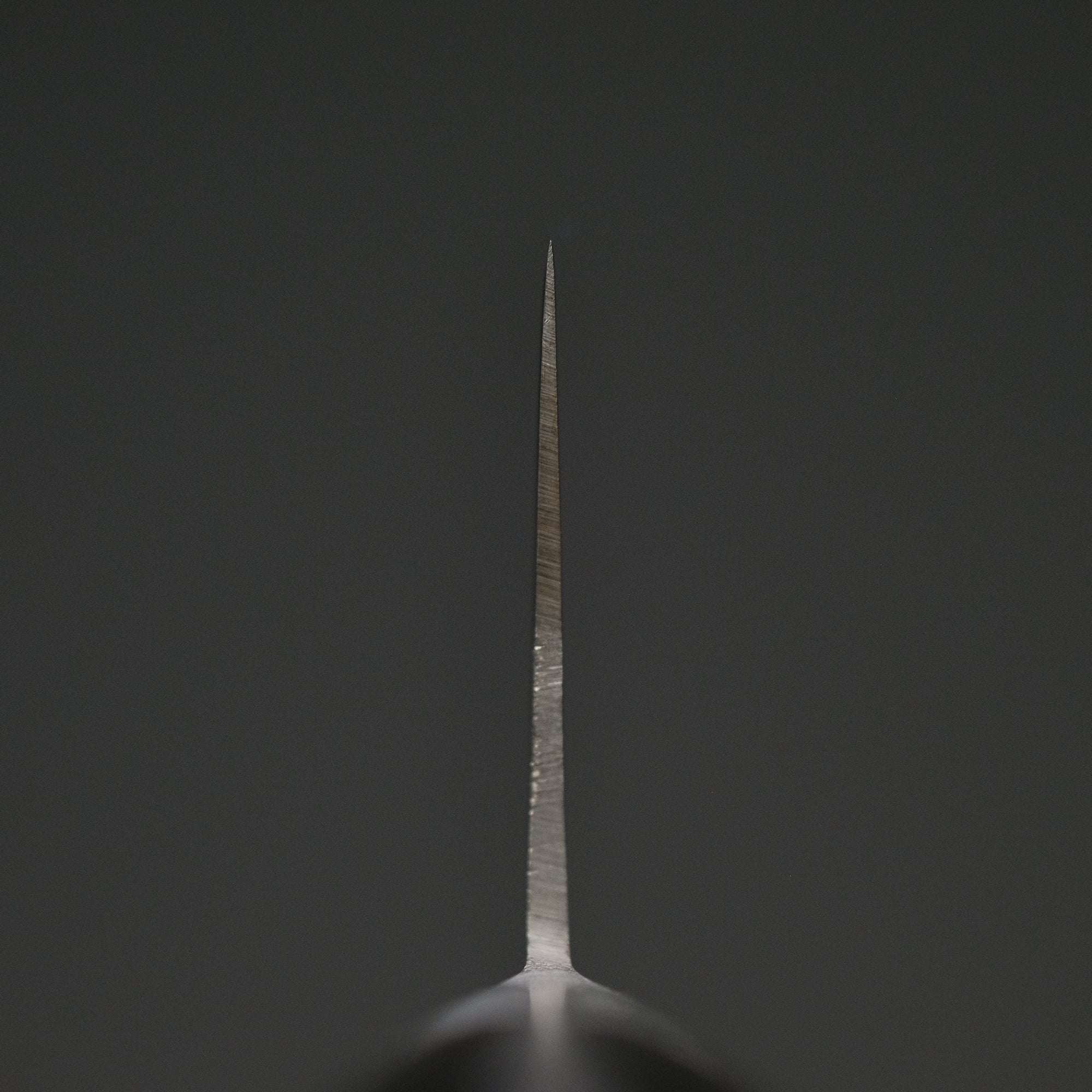 Morihei Hisamoto Hagane Gyuto 240mm Pakka Handle
