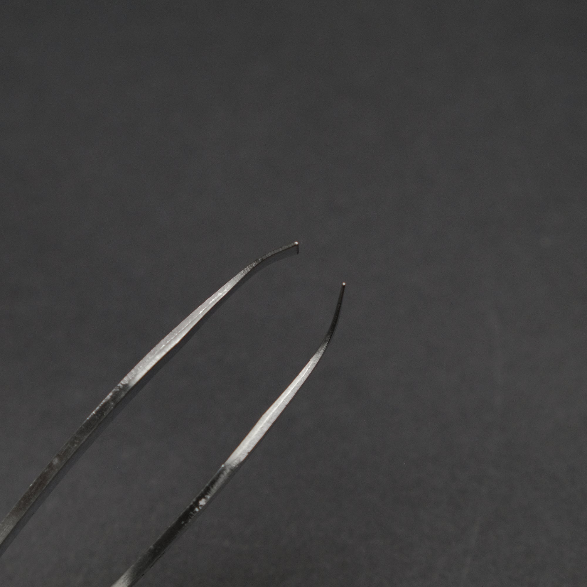 Morihei Itamae Fish Tweezer 120mm