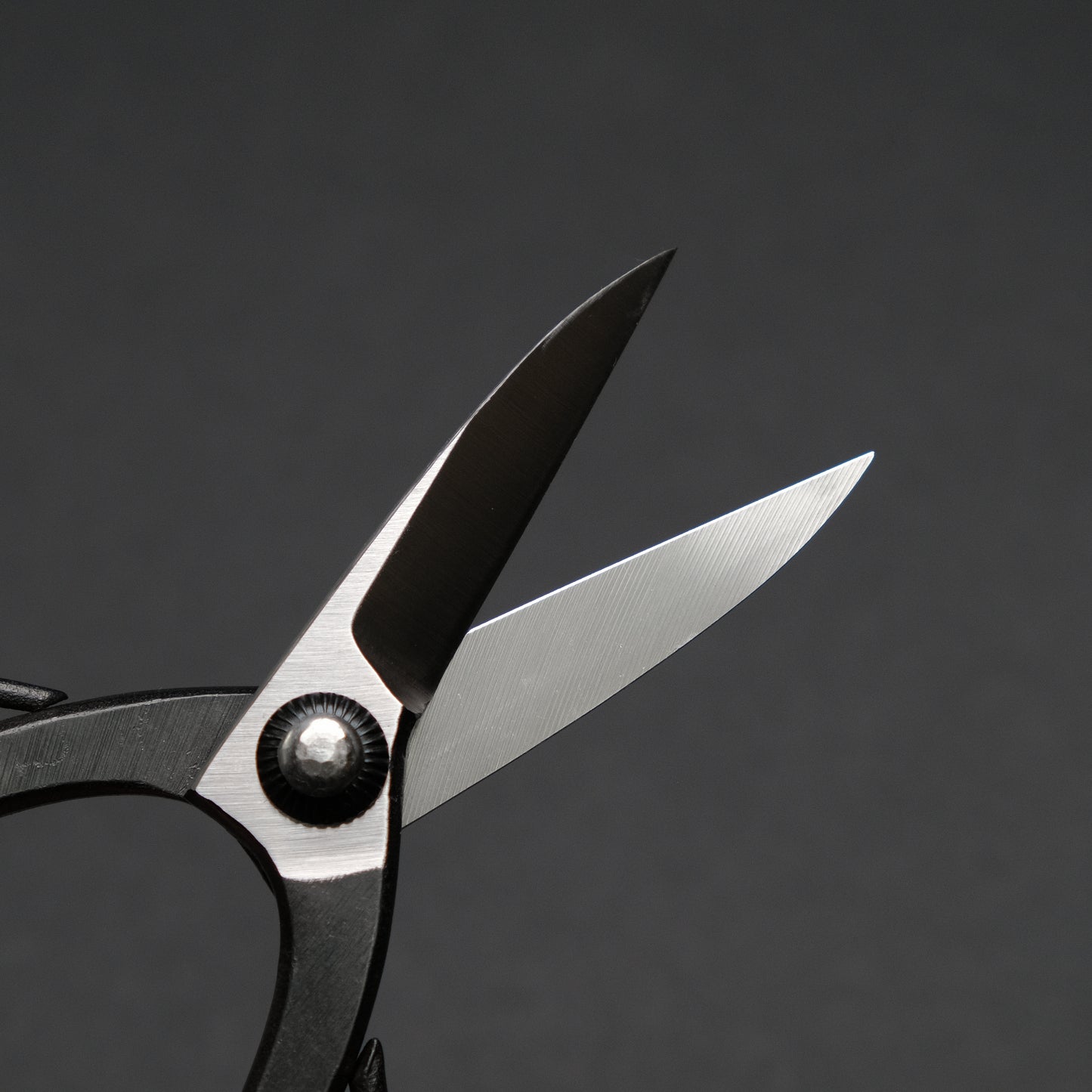 Morihei Kikuyu Bonsai Pruning Shears 180mm