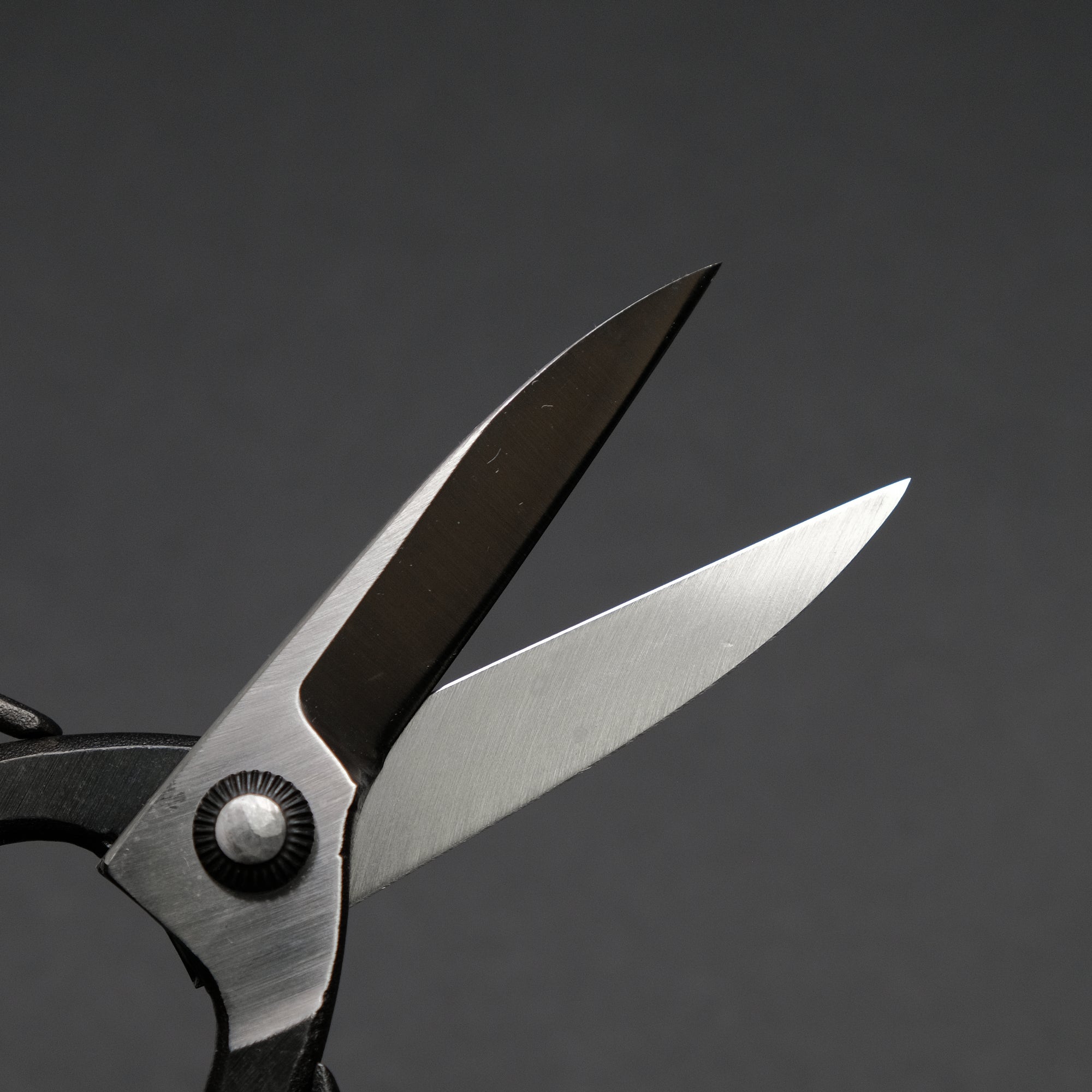 Morihei Kikuyu Kurouchi Okubo Pruning Shears 195mm (Narrow)