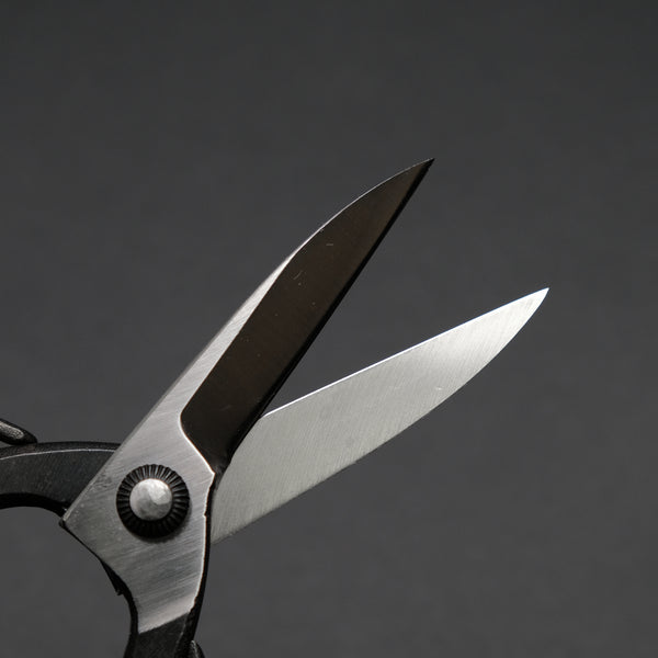 Morihei Kikuyu Kurouchi Okubo Pruning Shears 195mm (Narrow)