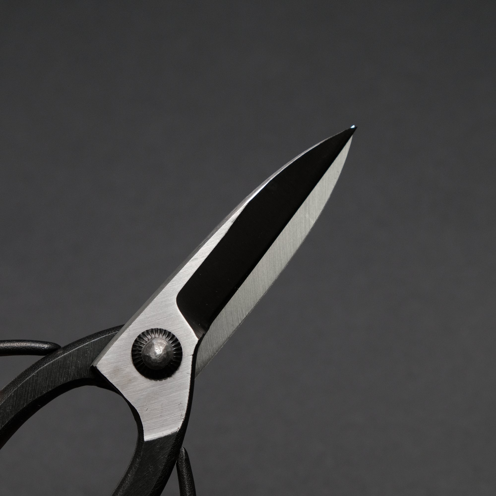 Morihei Kikuyu Kurouchi Okubo Pruning Shears 195mm (Narrow)