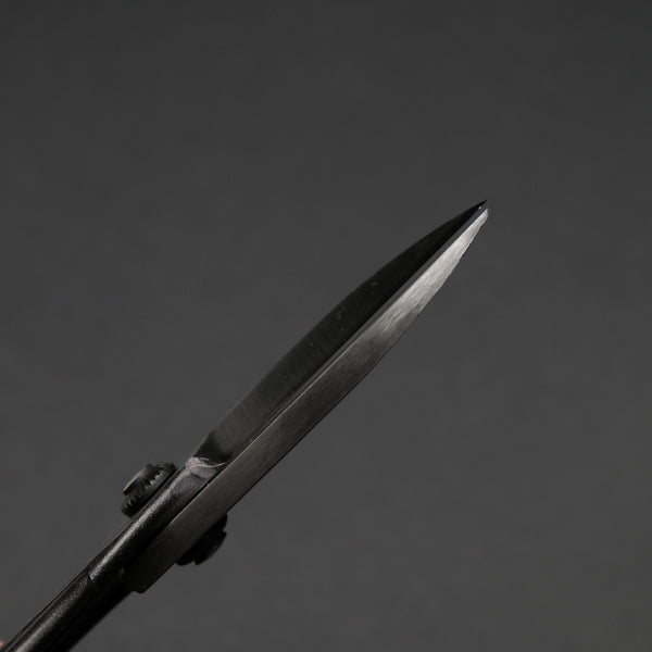Morihei Kikuyu Kurouchi Okubo Pruning Shears 195mm (Narrow)