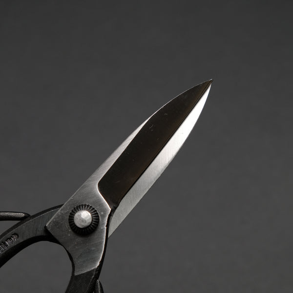 Morihei Kikuyu Kurouchi Okubo Pruning Shears 195mm (Narrow)