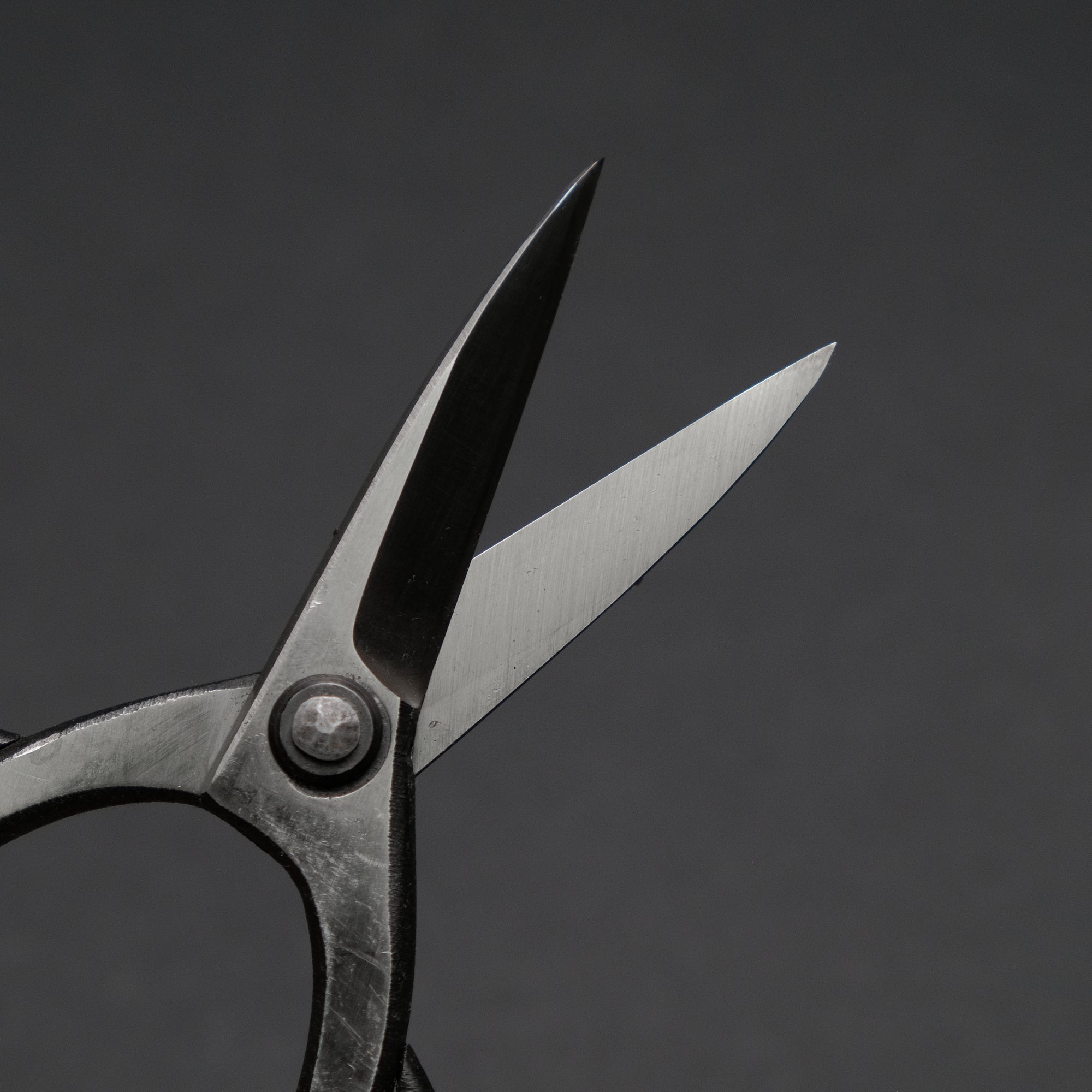Morihei Kisaku Bonsai Pruning Shears 180mm (