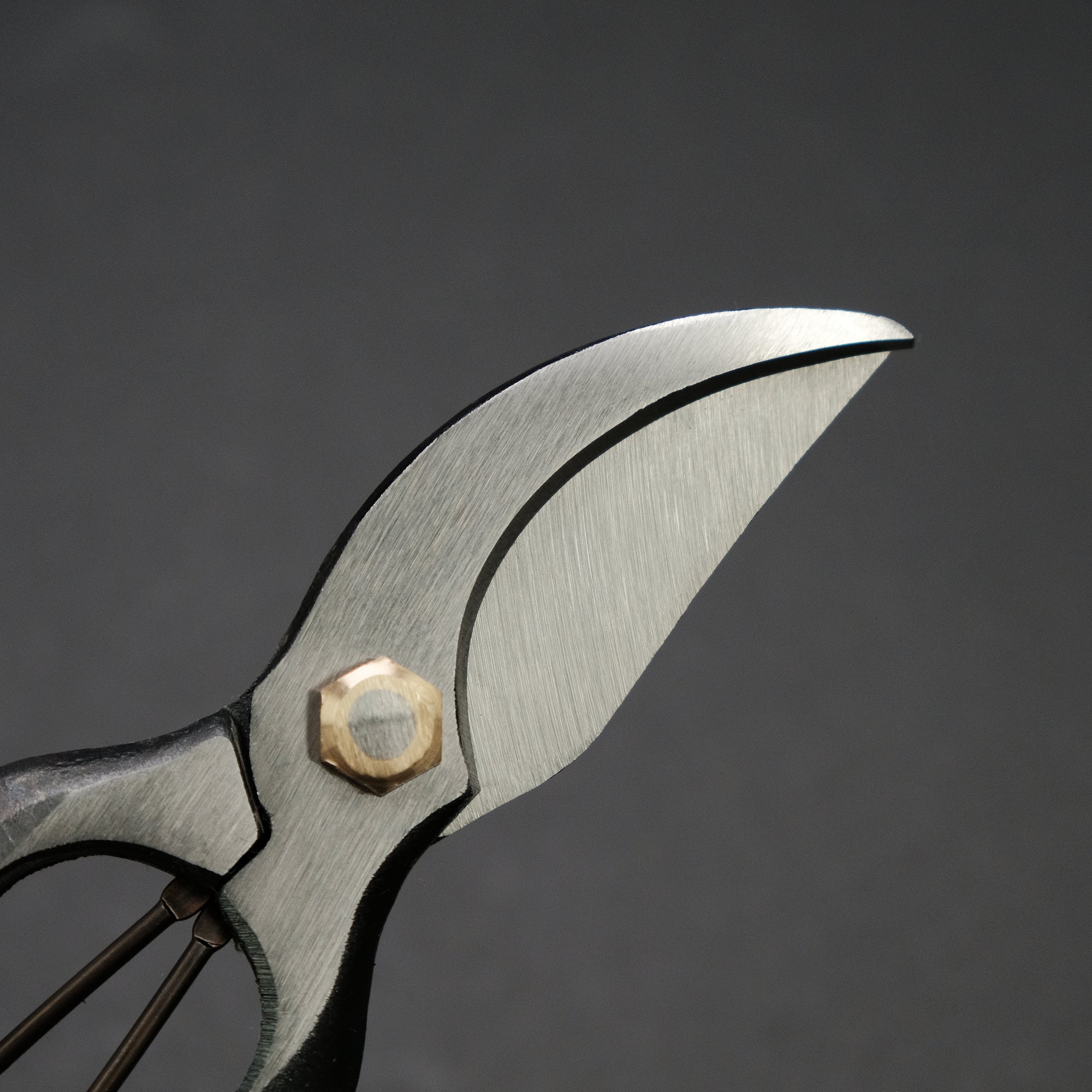 Morihei Kisaku Sentei Pruning Shears 200mm (