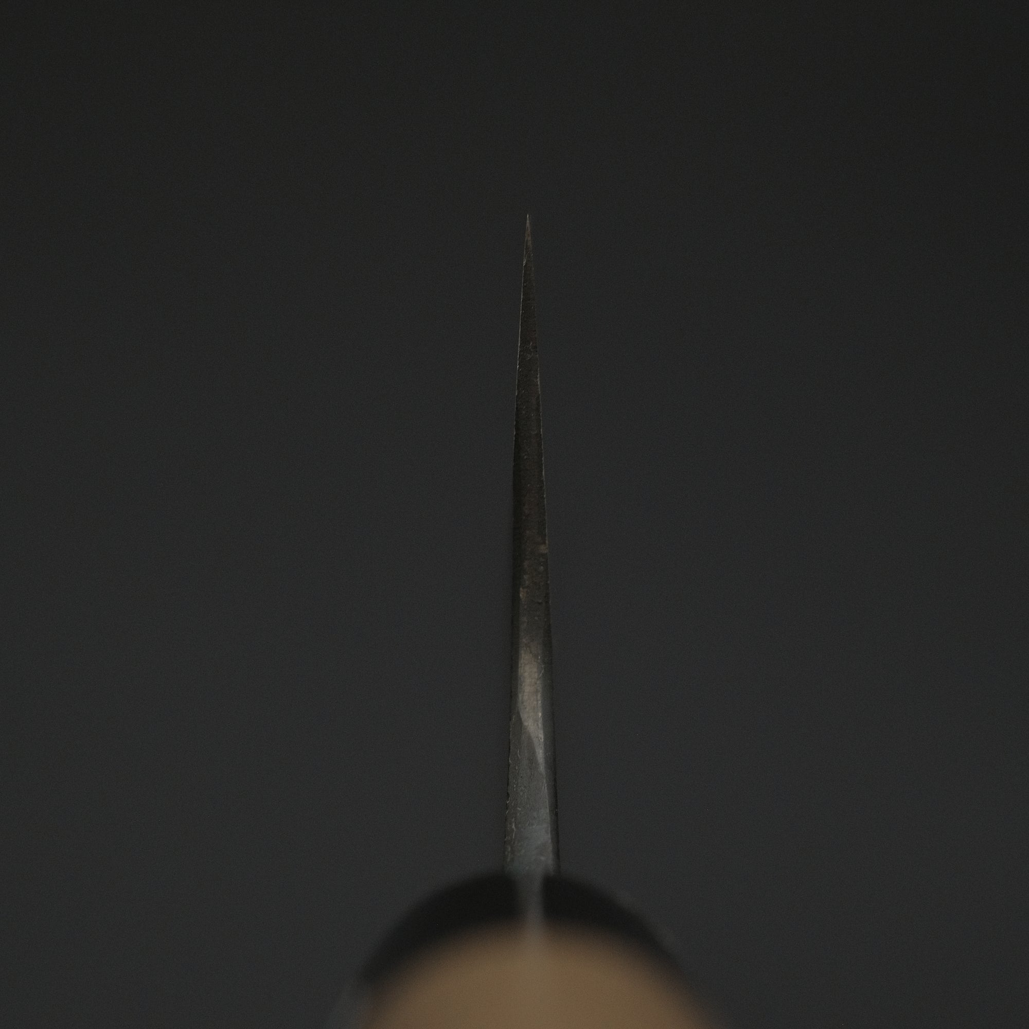 Morihei Munetsugu Blue 