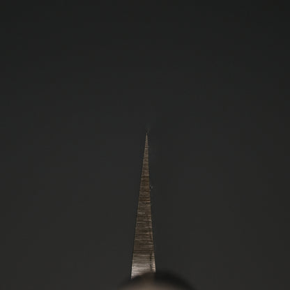 Mumei Stainless Yanagiba 300mm Ho Wood Handle