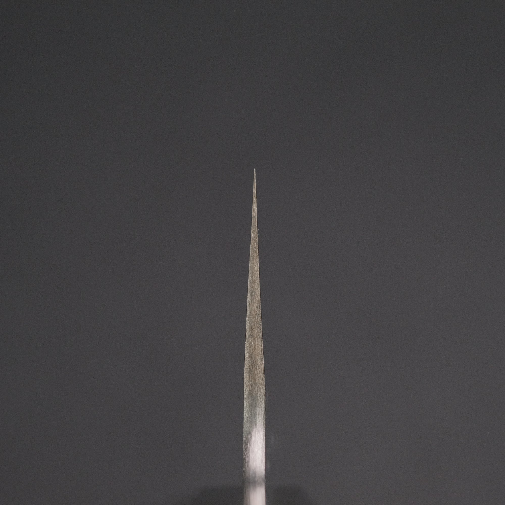 Nigara SG STRIX Gyuto 210mm Ebony Handle
