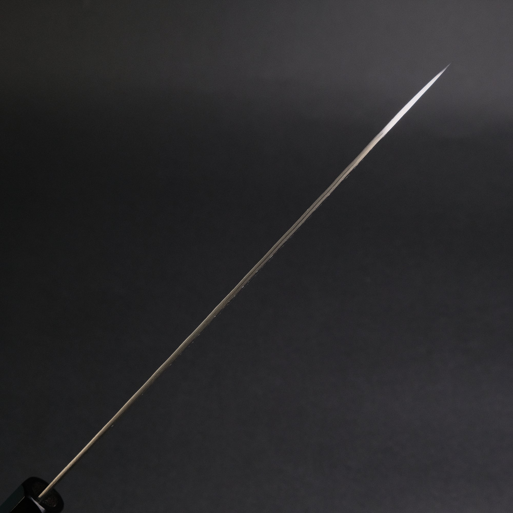Nigara SG STRIX Gyuto 240mm Ebony Handle