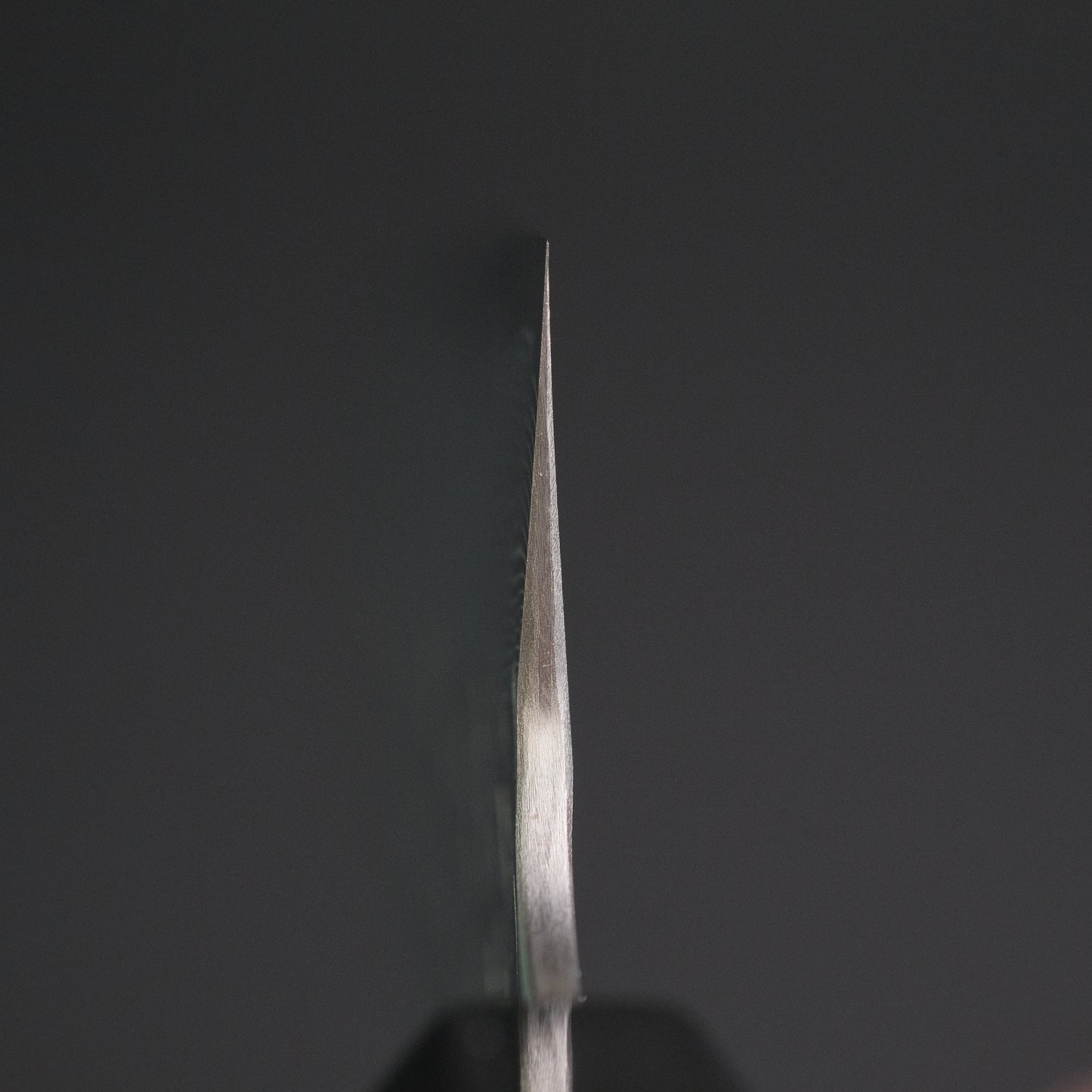 Nigara SG STRIX Sujihiki 270mm Ebony Handle