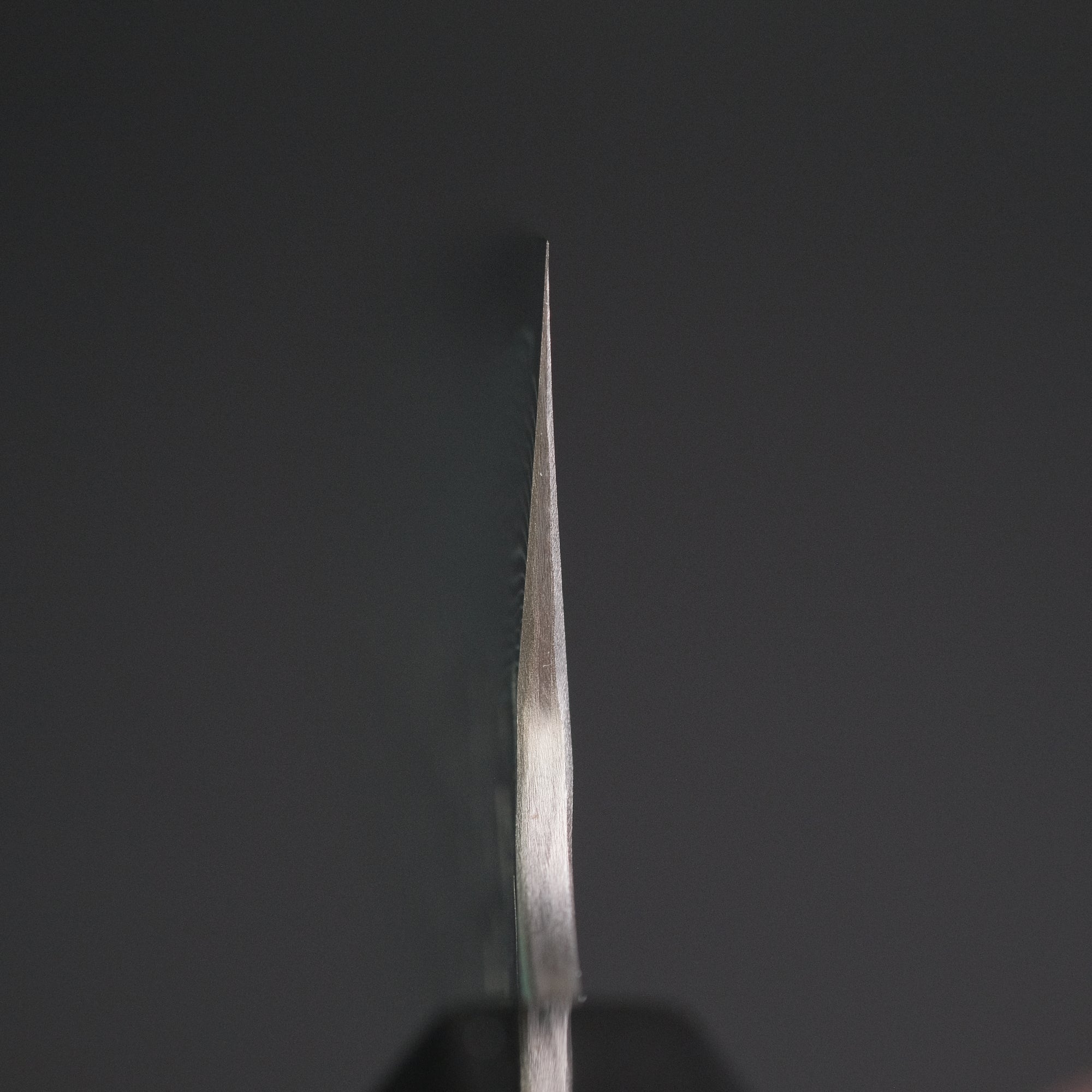 Nigara SG STRIX Sujihiki 270mm Ebony Handle