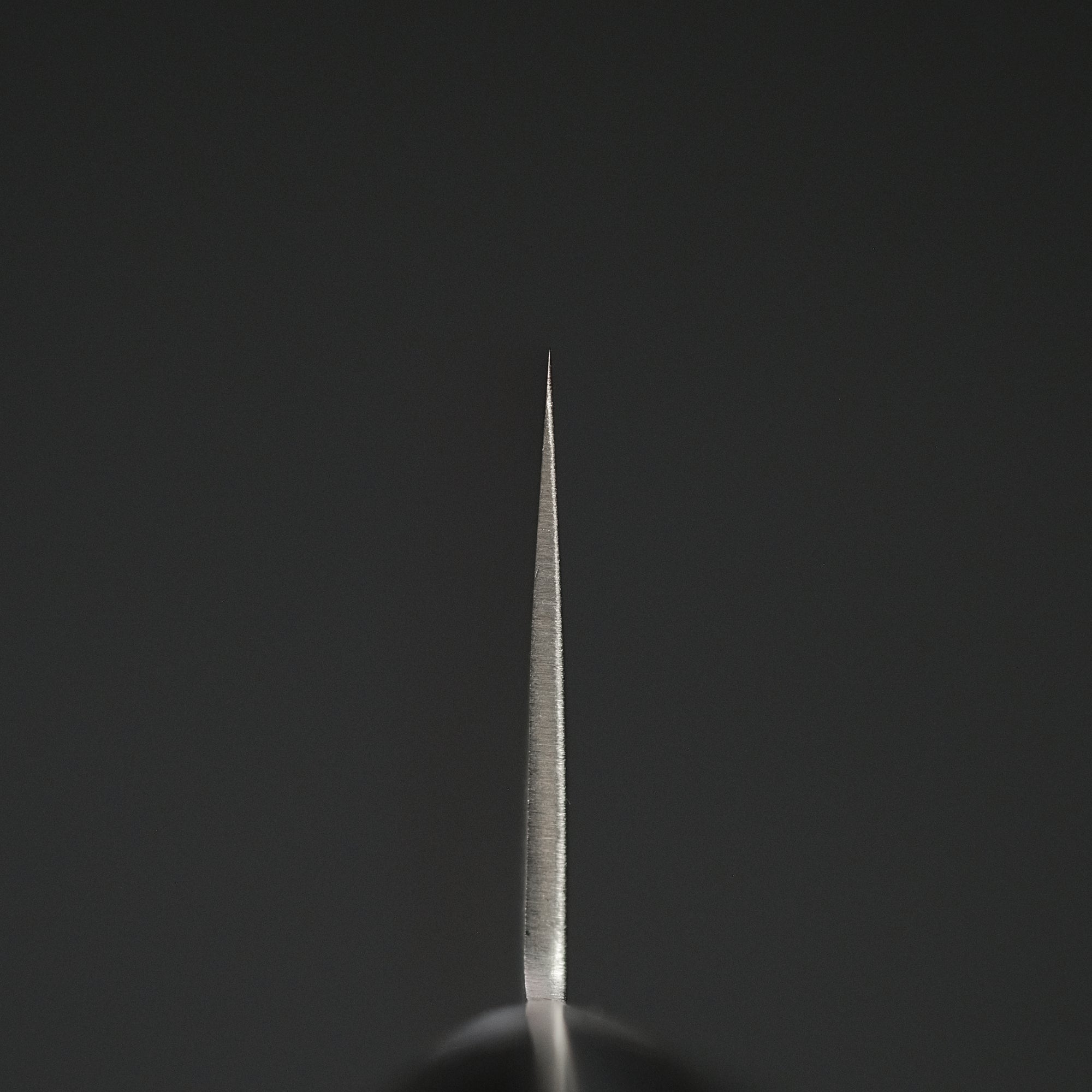 Ohishi Ginsan Nashiji Kiritsuke 210mm Pakka Handle