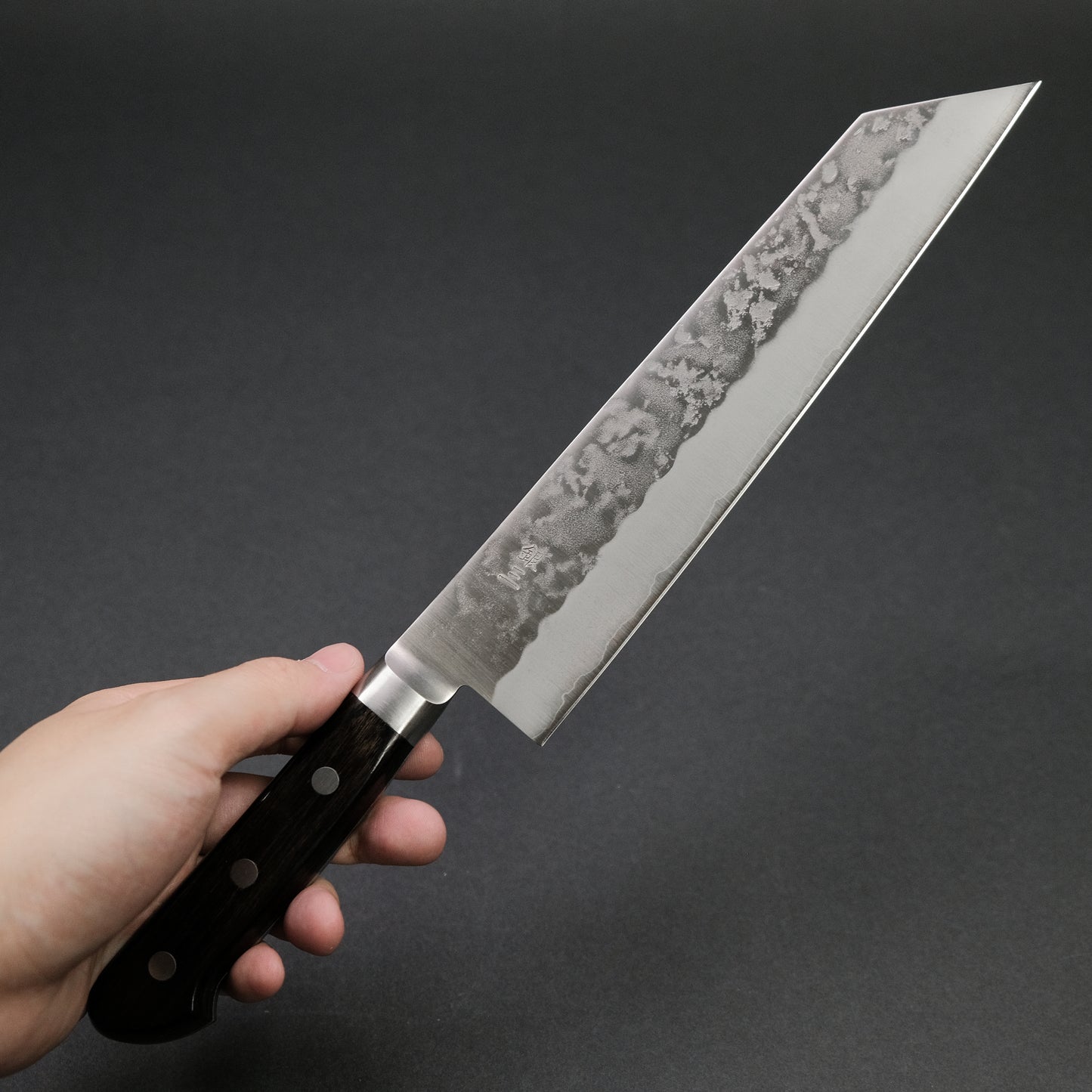 Ohishi Ginsan Nashiji Kiritsuke 210mm Pakka Handle