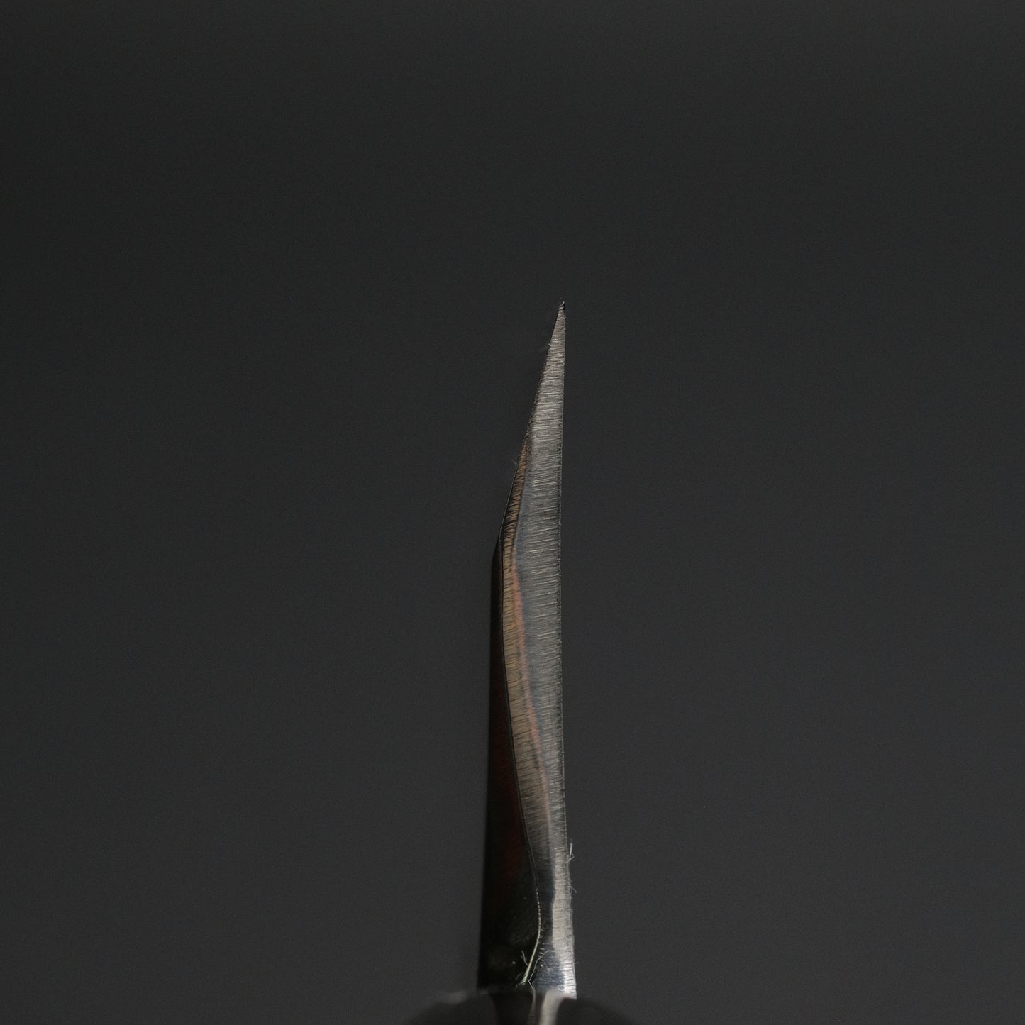 Sakai Kikumori Shironiko White #2 Deba 165mm Magnolia Handle