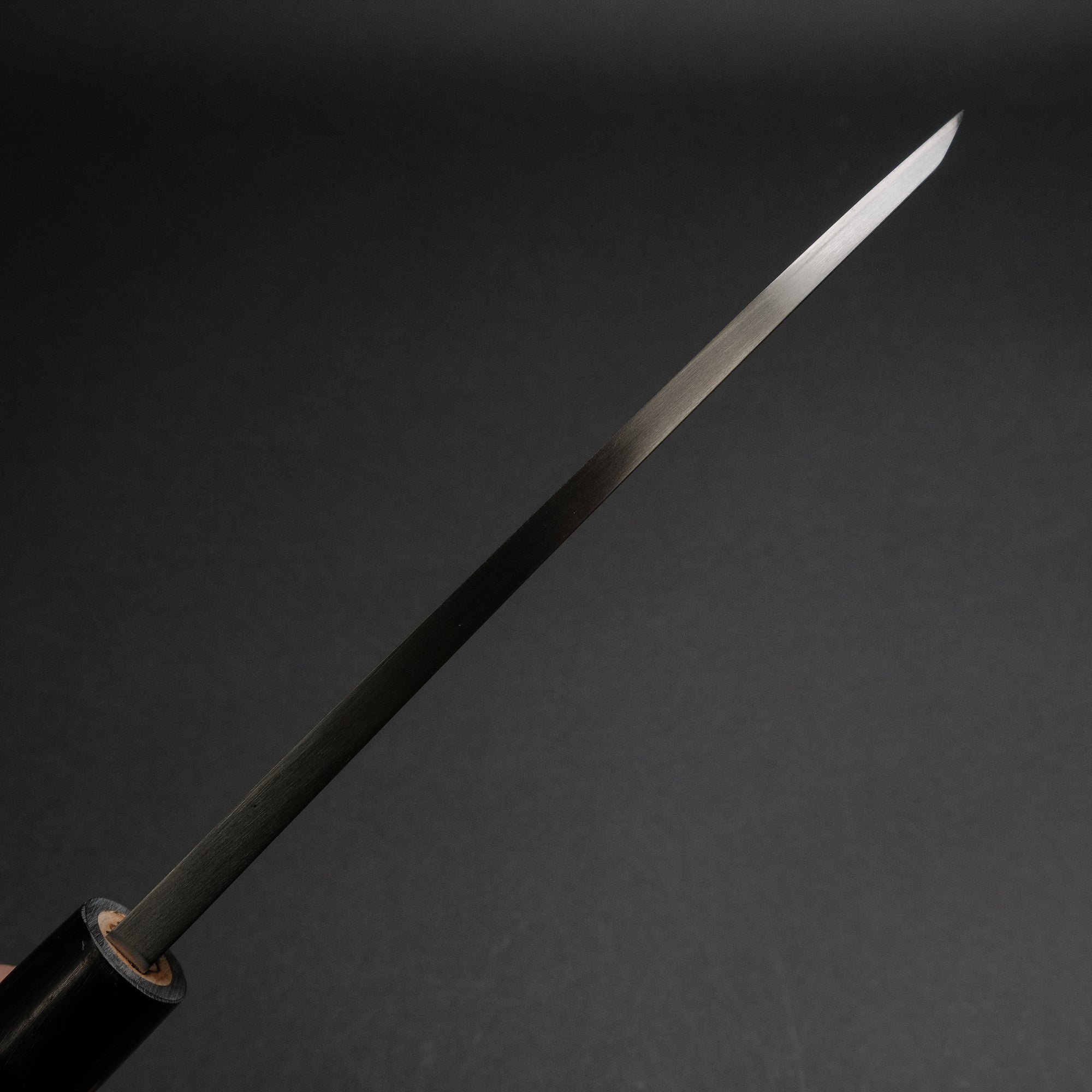 Sakai Kikumori Shironiko White 